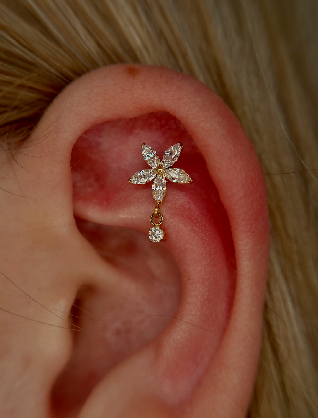 Screenshot 2026-02-06 at 1.21.05 PM.png