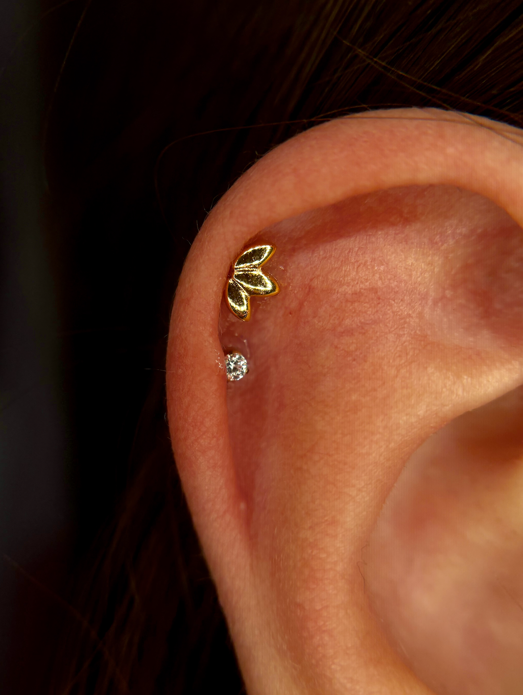 Screenshot 2026-02-06 at 1.27.35 PM.png