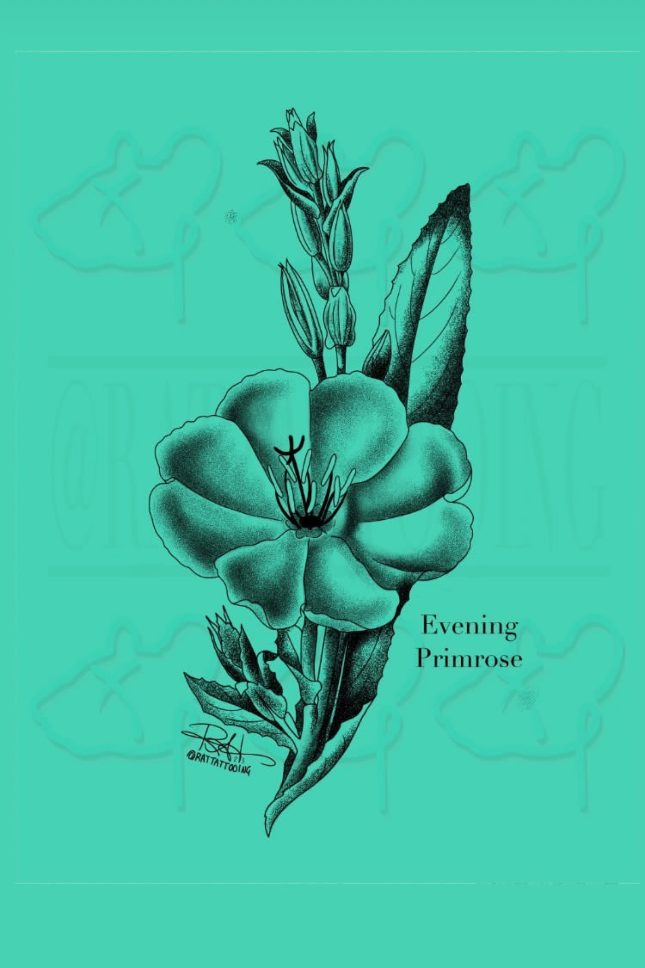 IMG_4541.png