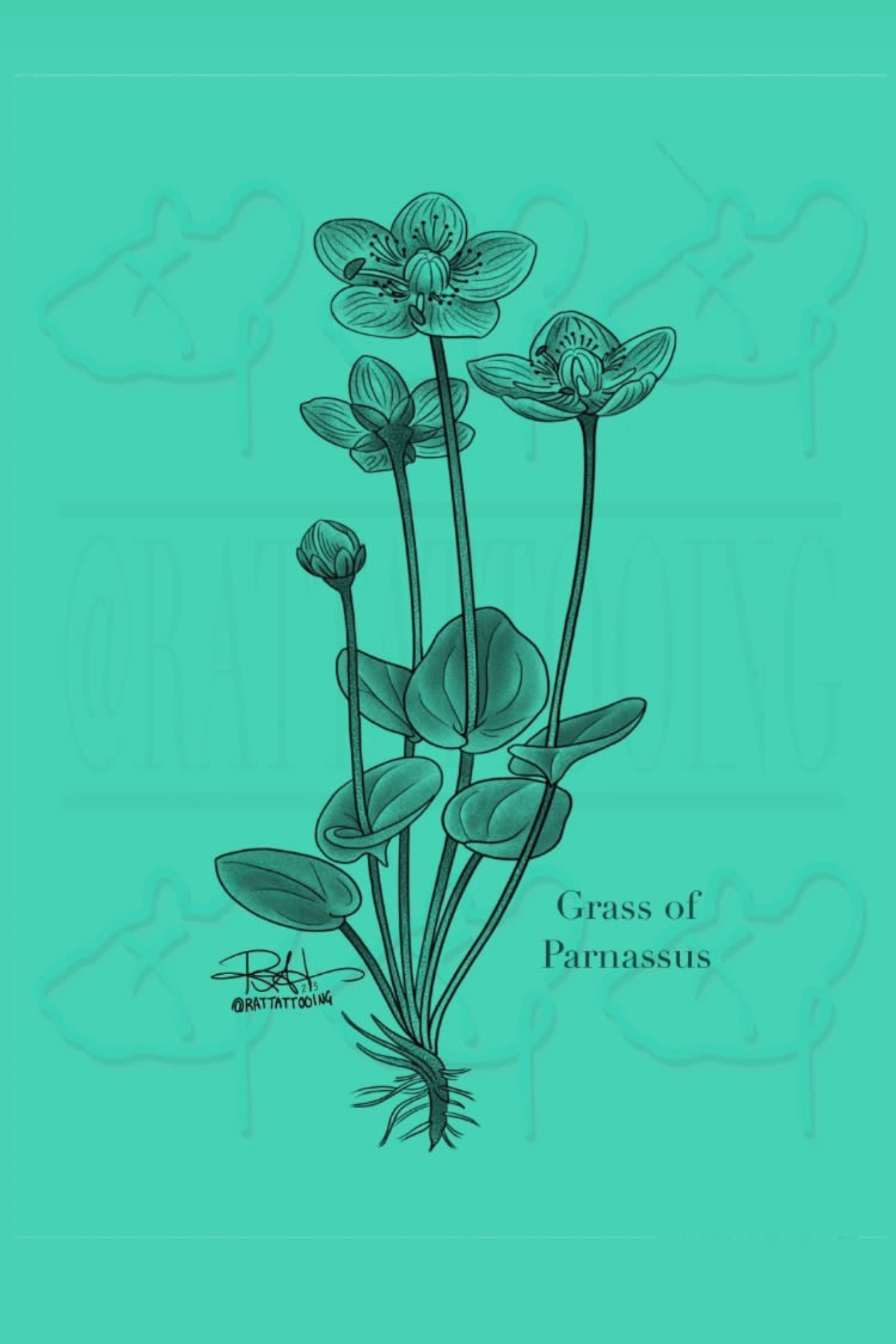 IMG_4542.png