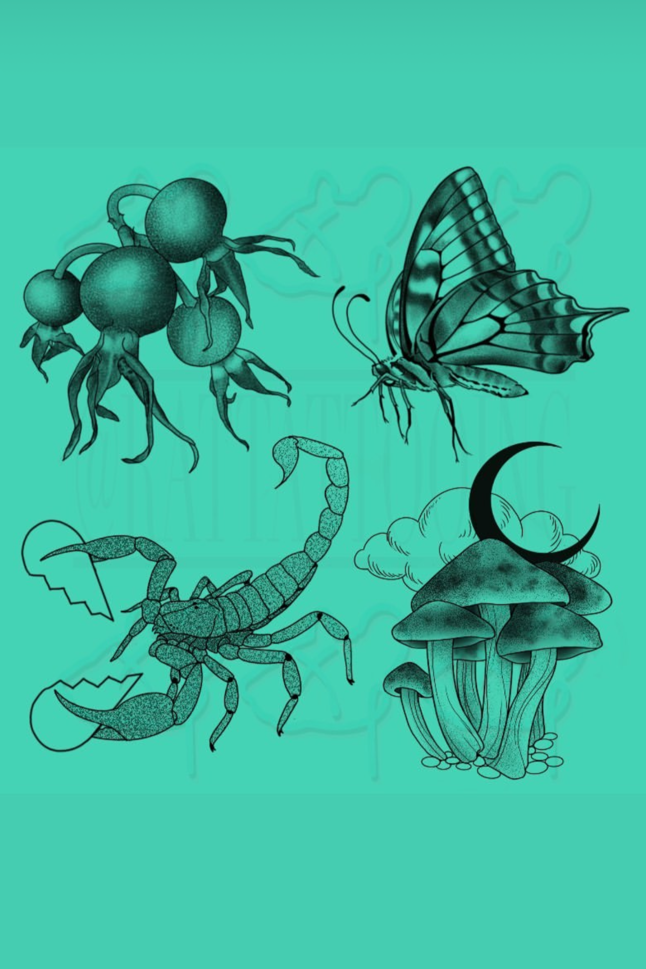 IMG_4550.png