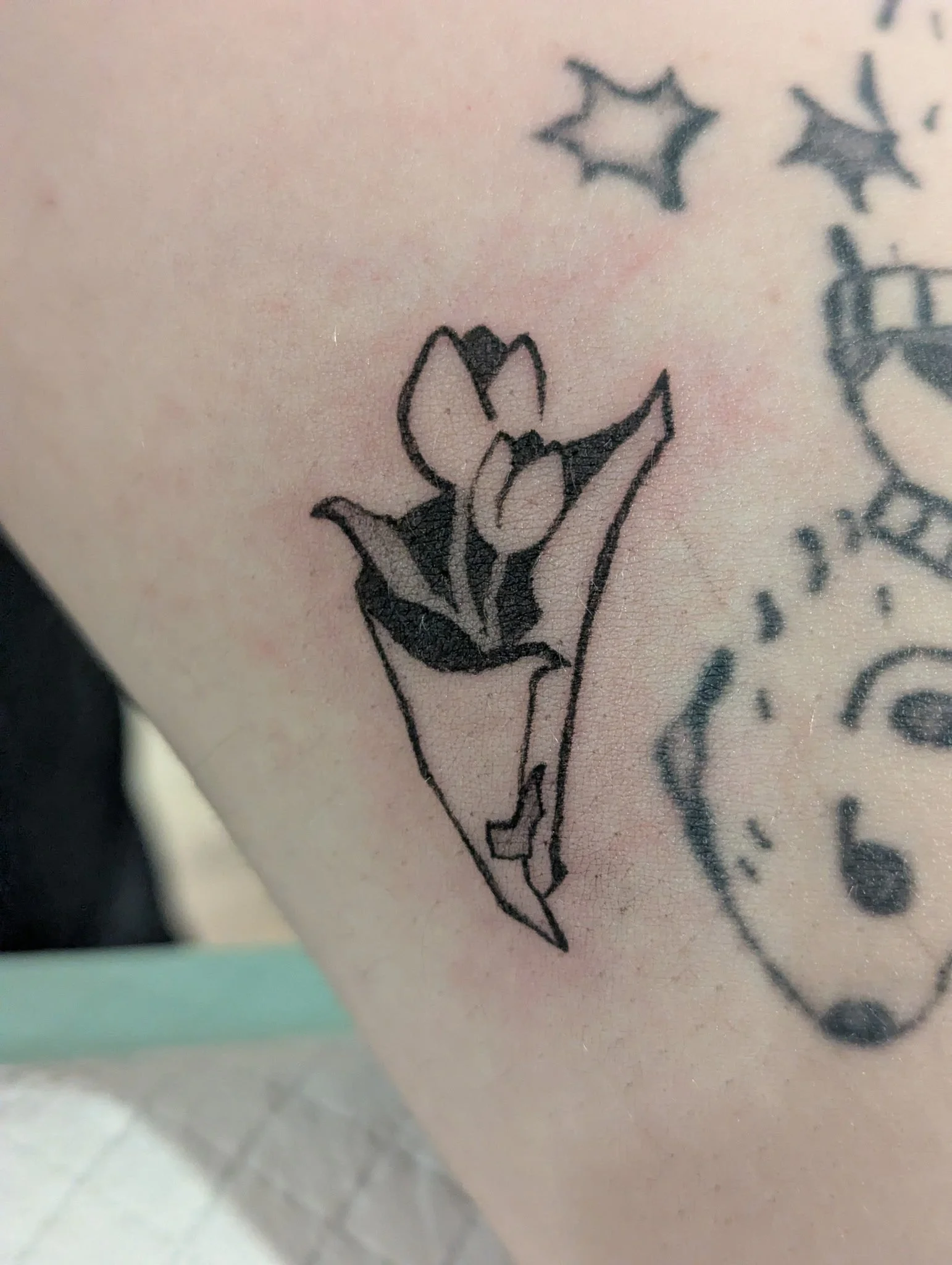 Patricia @hoshiyahh_ - Tulips 