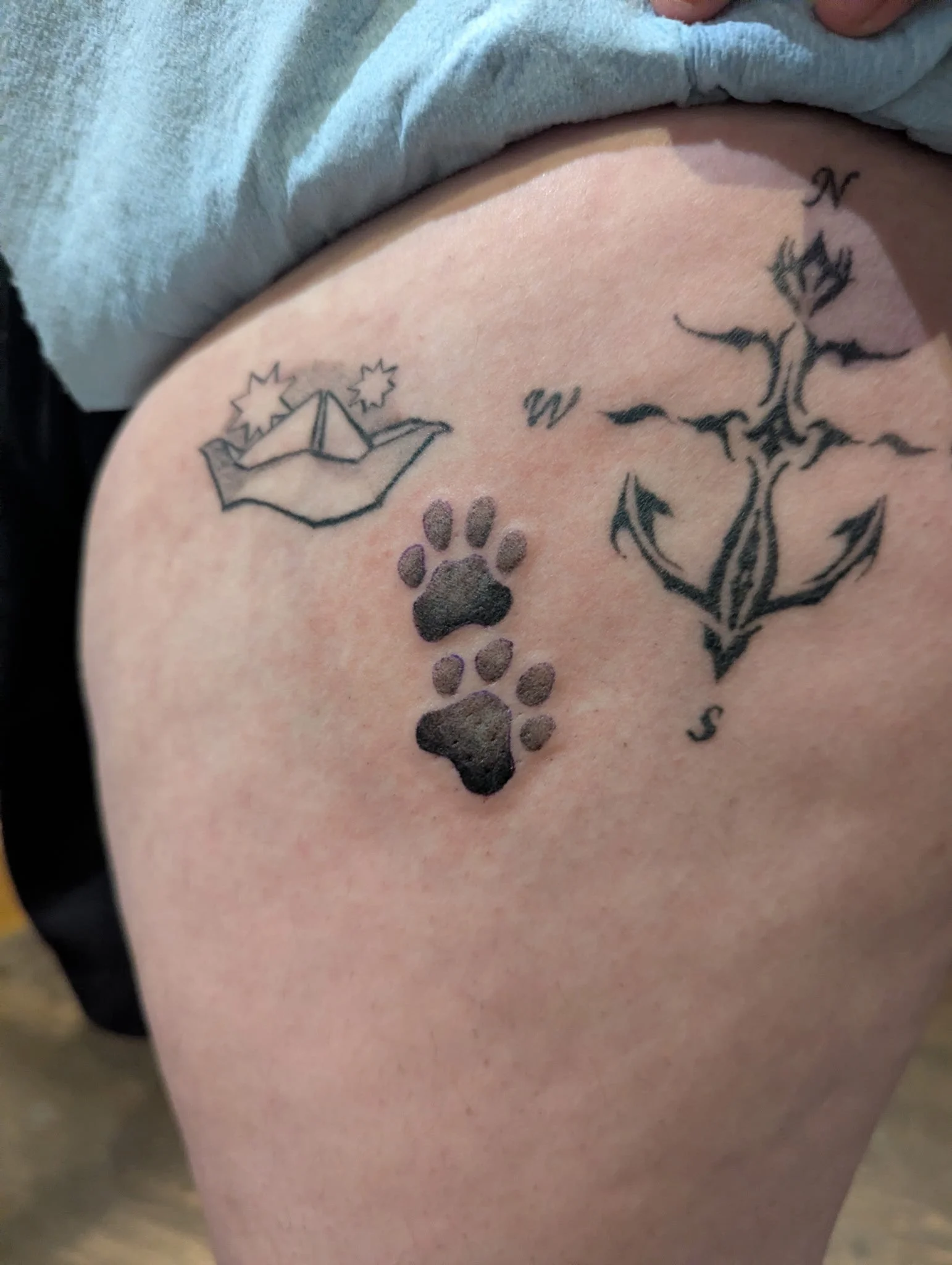 Fresh paw prints healed boat