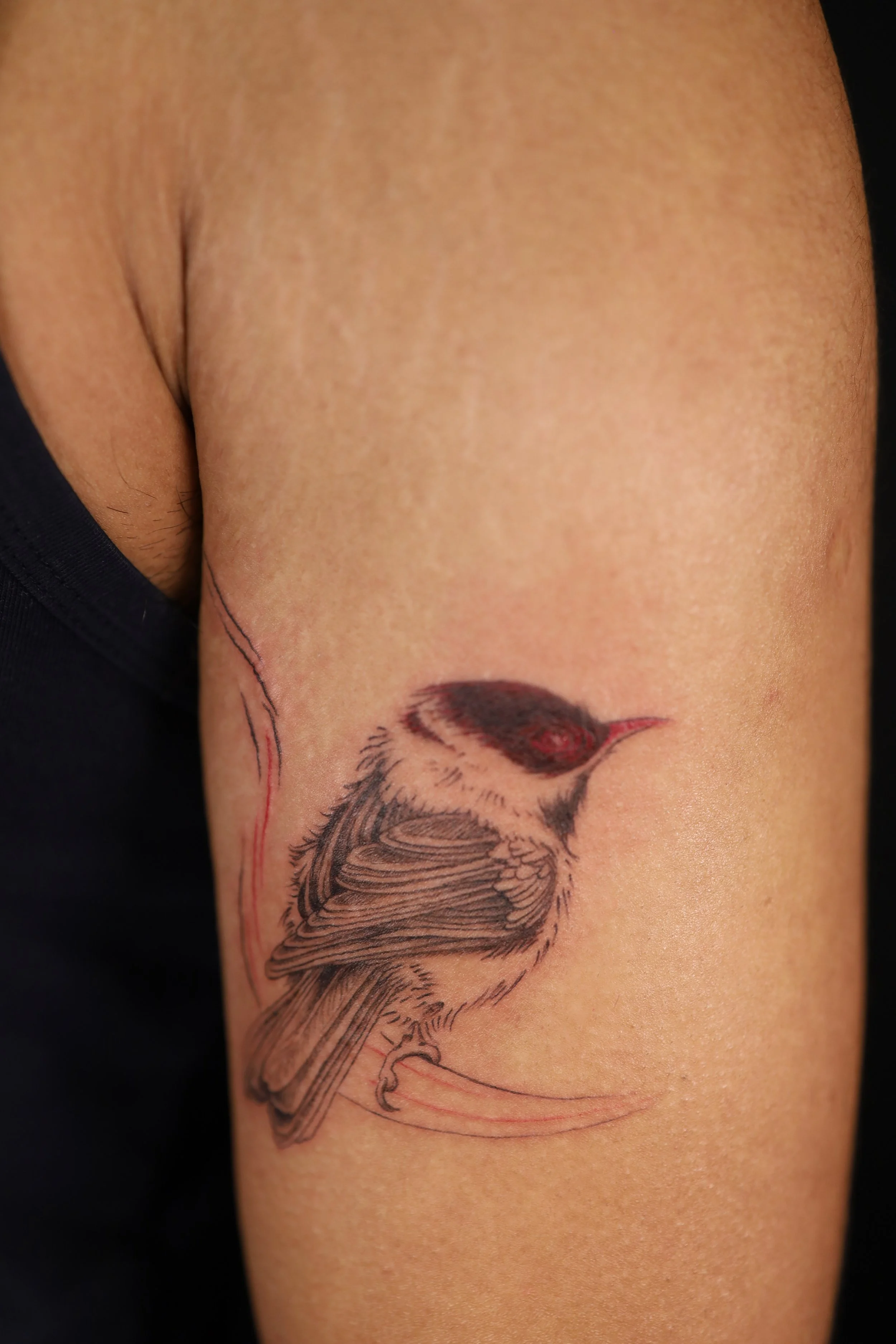 Tattoo of a bird with red eyes on a person's upper arm.
