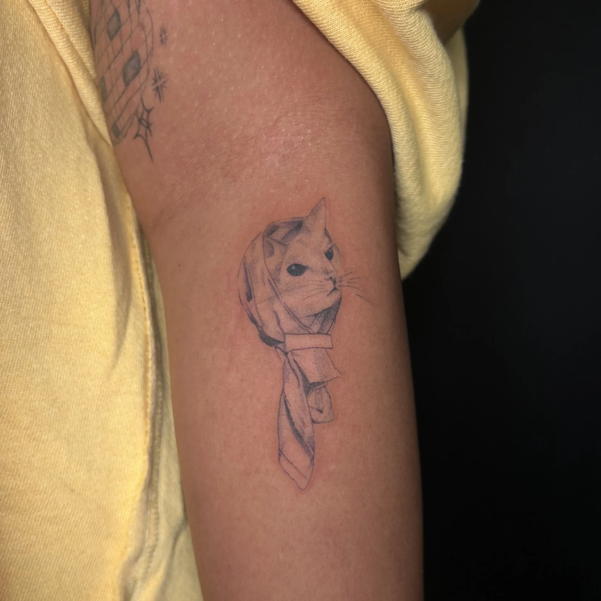 silly cat in a scarf