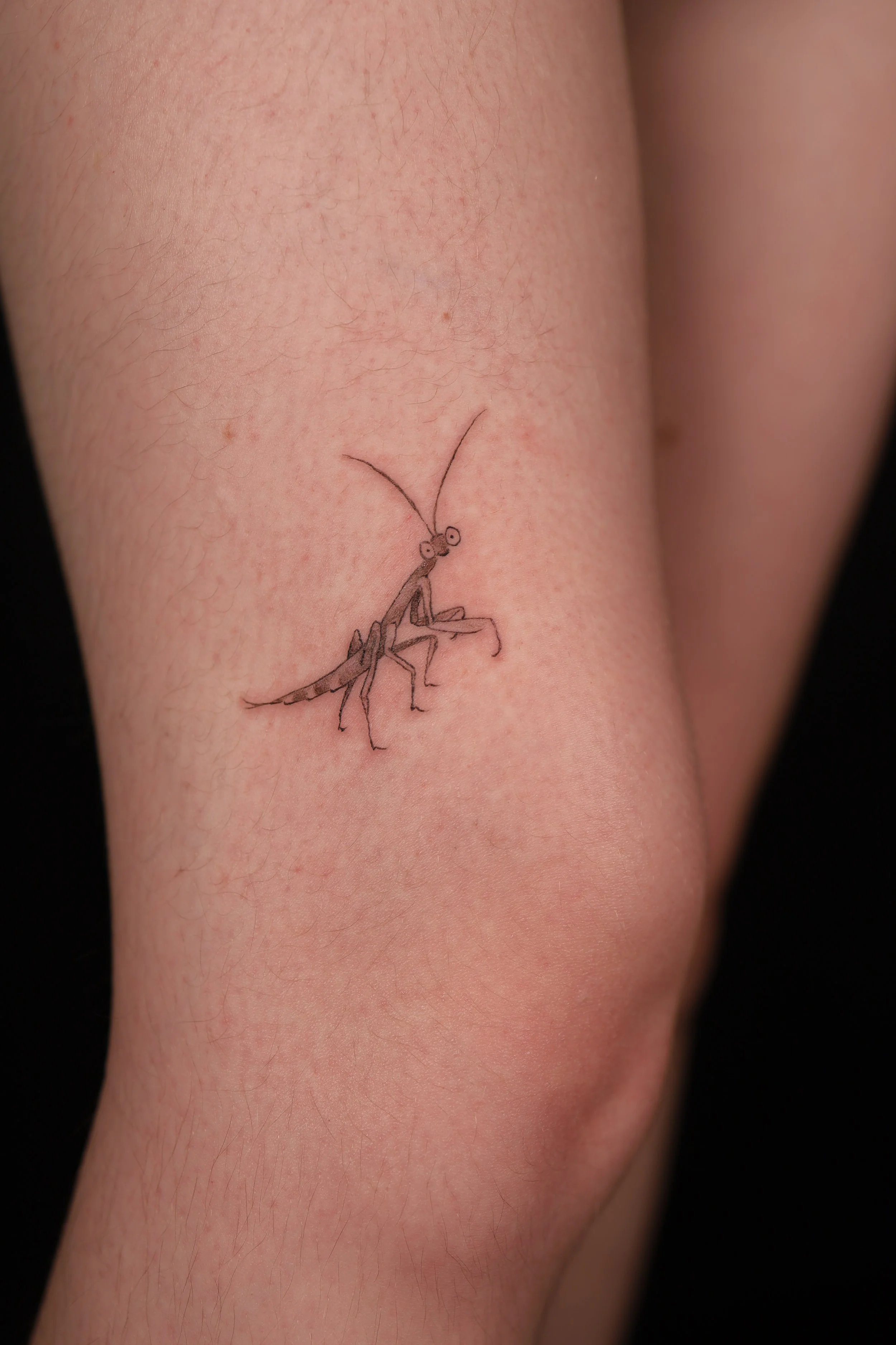 A small, detailed tattoo of a cricket on a person's leg.