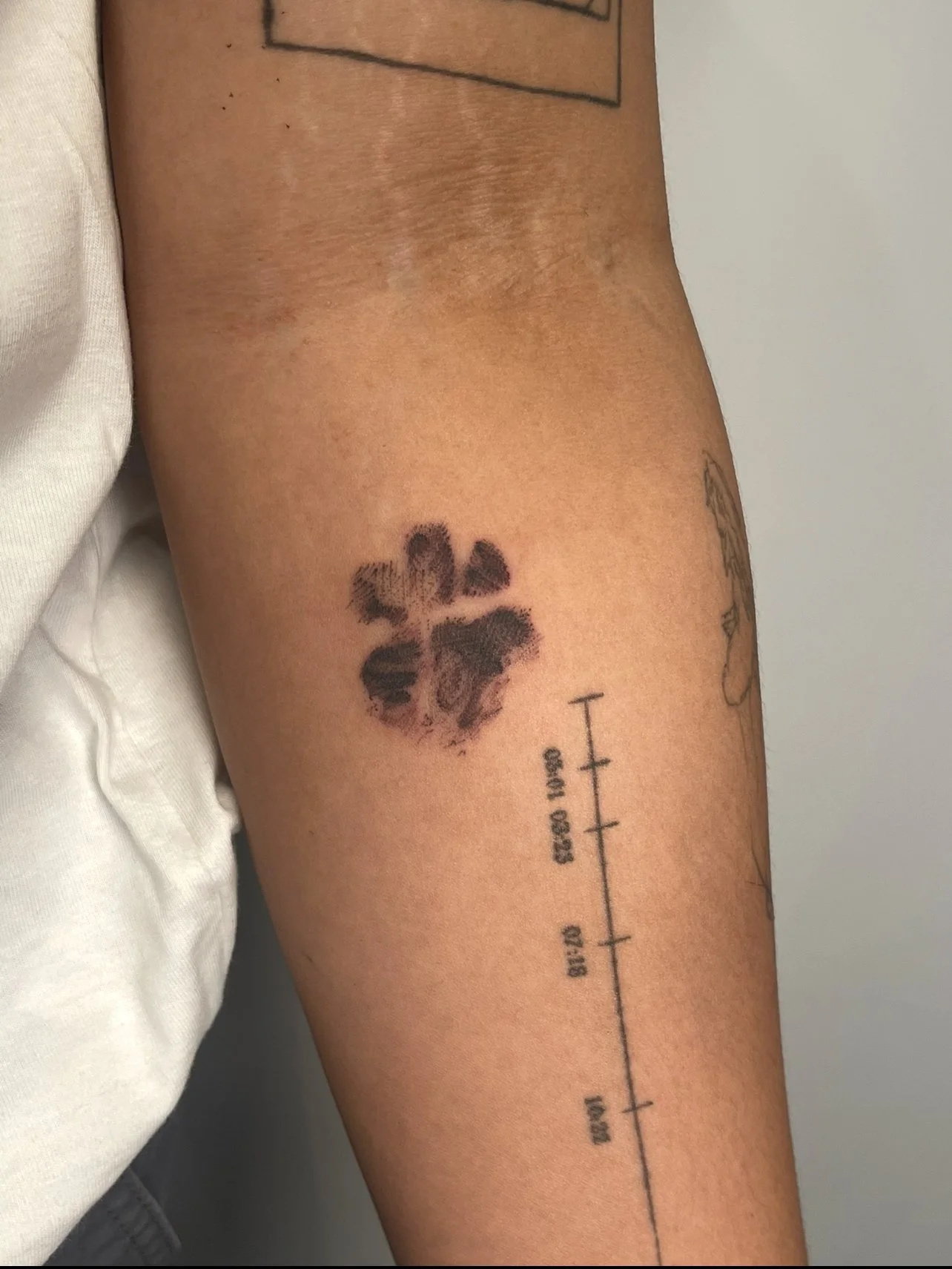 Katt -fineline paw print tattoo