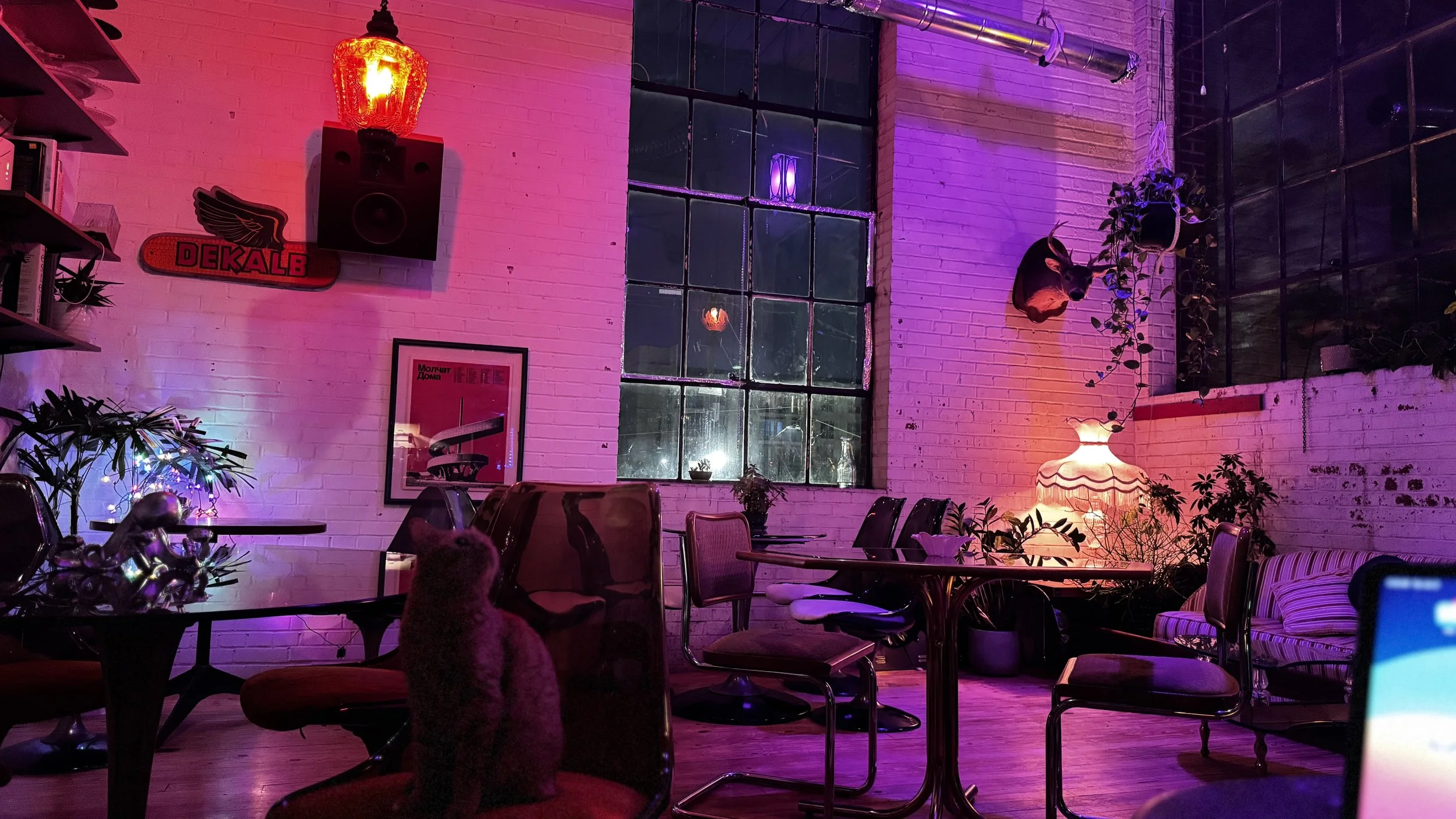 IMG_9059.jpeg