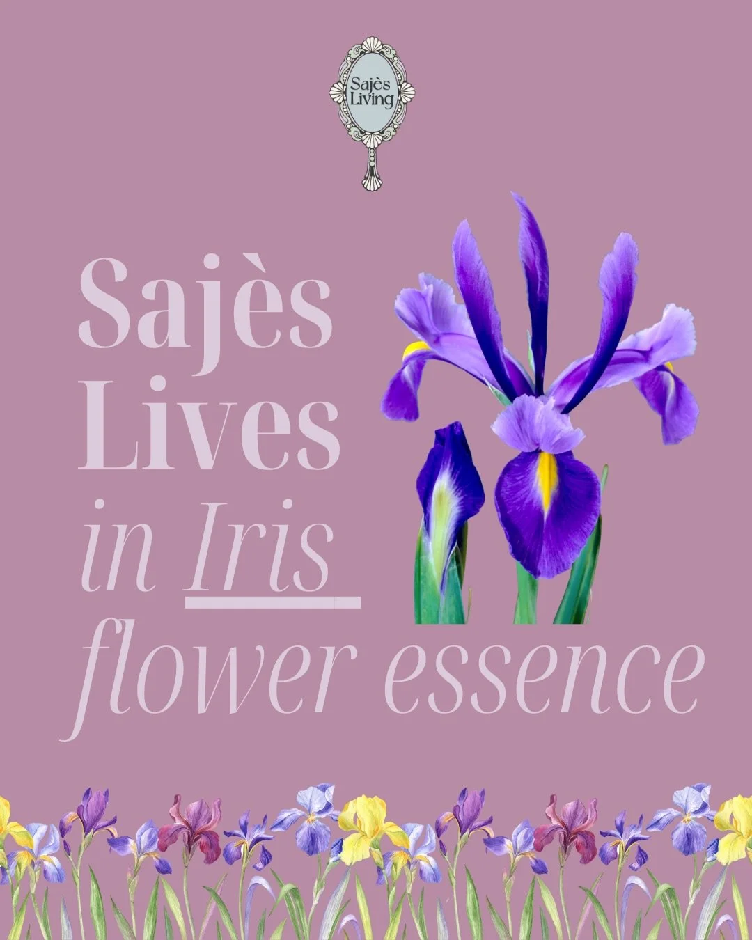 &ldquo;Saj&egrave;s Lives&rdquo; is a series where I explore the healing wisdom of plant medicine by the way of flower essences.⁣⁣
⁣⁣⁣⁣
⁣Today we will be shining a light on the vibrant, lively, and iridescent Iris💜✨⁣
⁣⁣
⁣👩🏽&zwj;🎨Iris flower essen