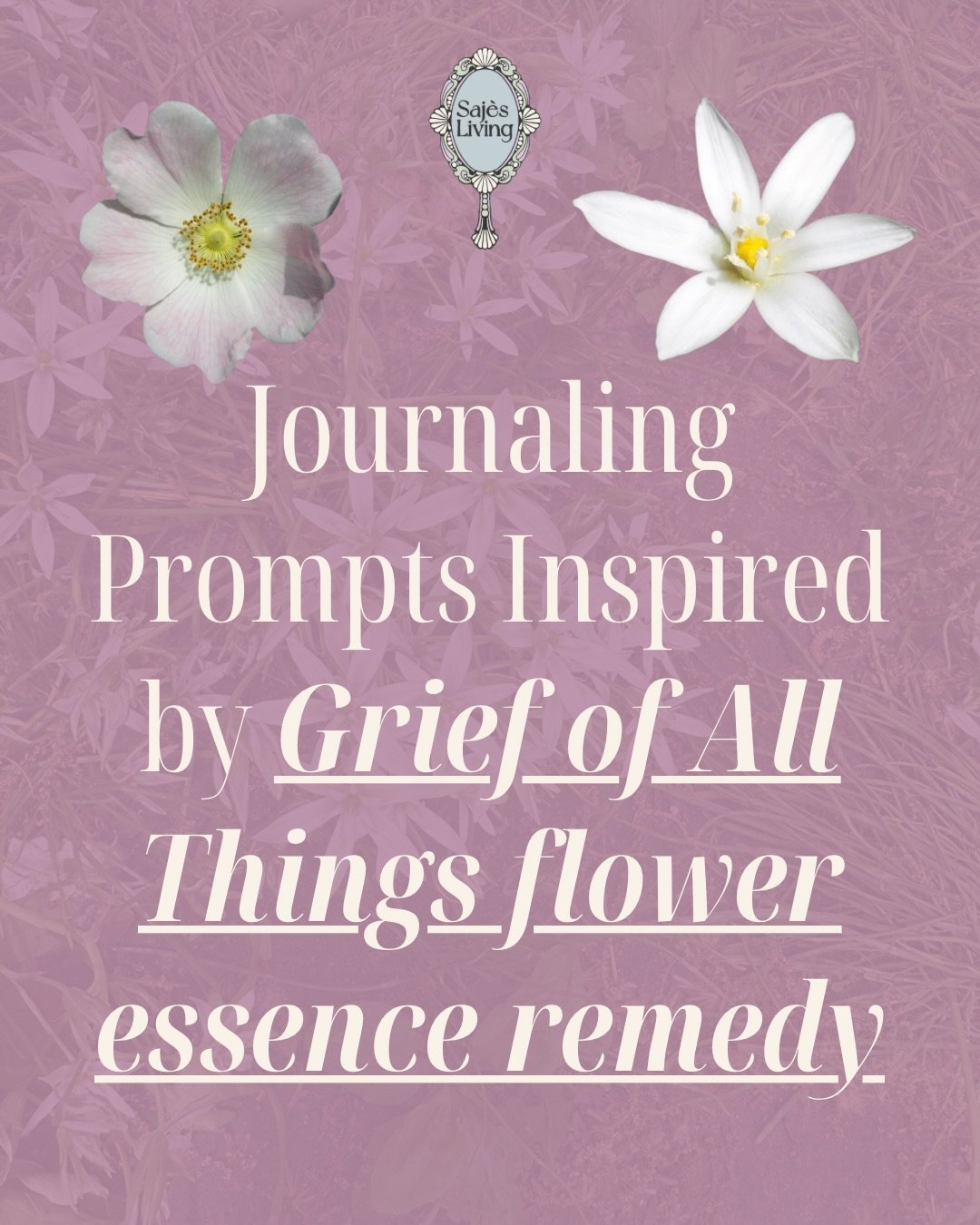 📝Here are a few prompts to guide your experience while taking the Grief of All Things flower essence remedy.

🫂Grief of All Things🫂 is a flower essence remedy that helps you feel your grief. 

It is now available as a part of Saj&egrave;s Living F