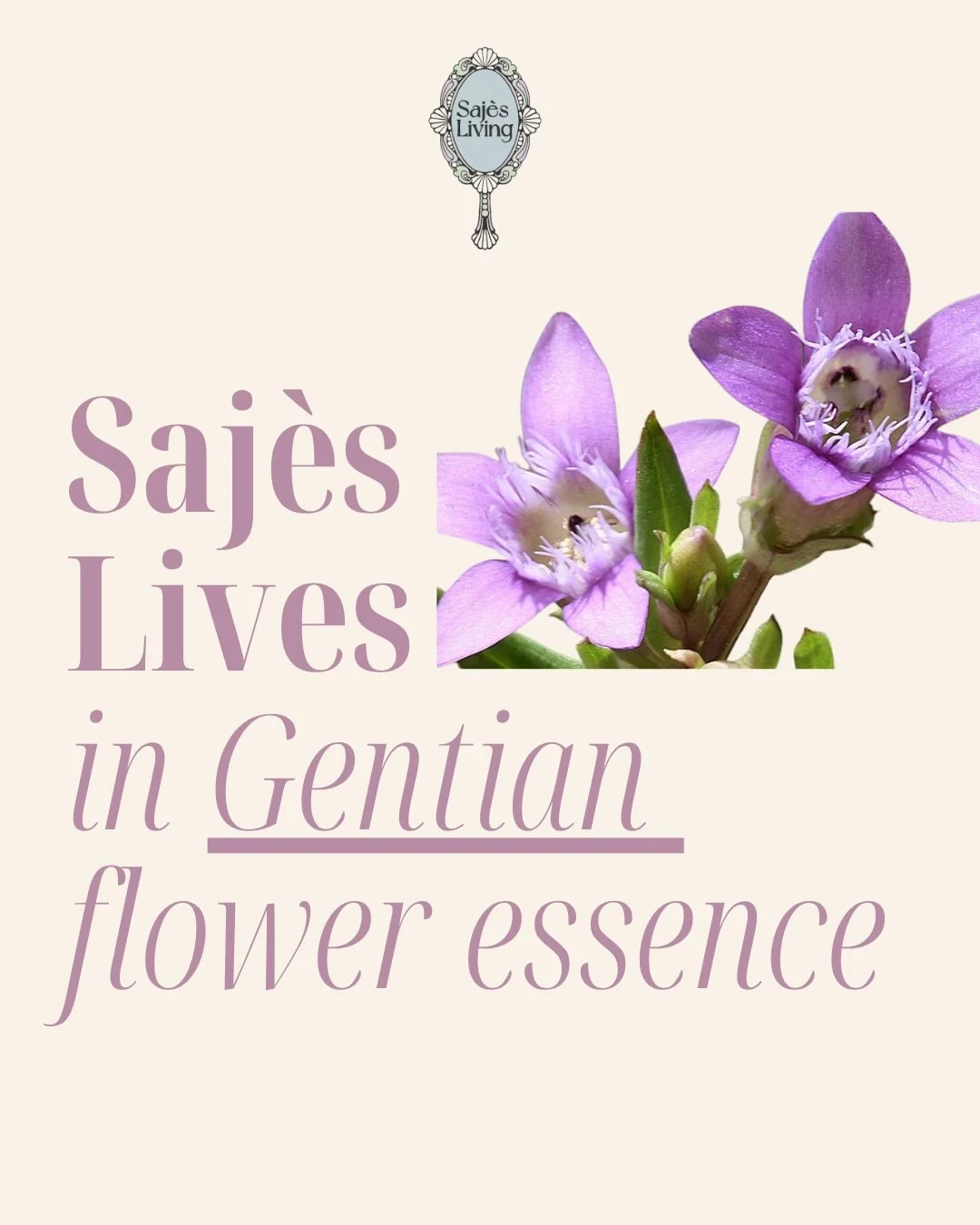 &ldquo;Saj&egrave;s Lives&rdquo; is a series where I explore the healing wisdom of plant medicine by the way of flower essences.⁣
⁣⁣
Today we will be shining a light on the persevering, resilient, and encouraging Gentian💗🌟

✊🏽Gentian flower essenc
