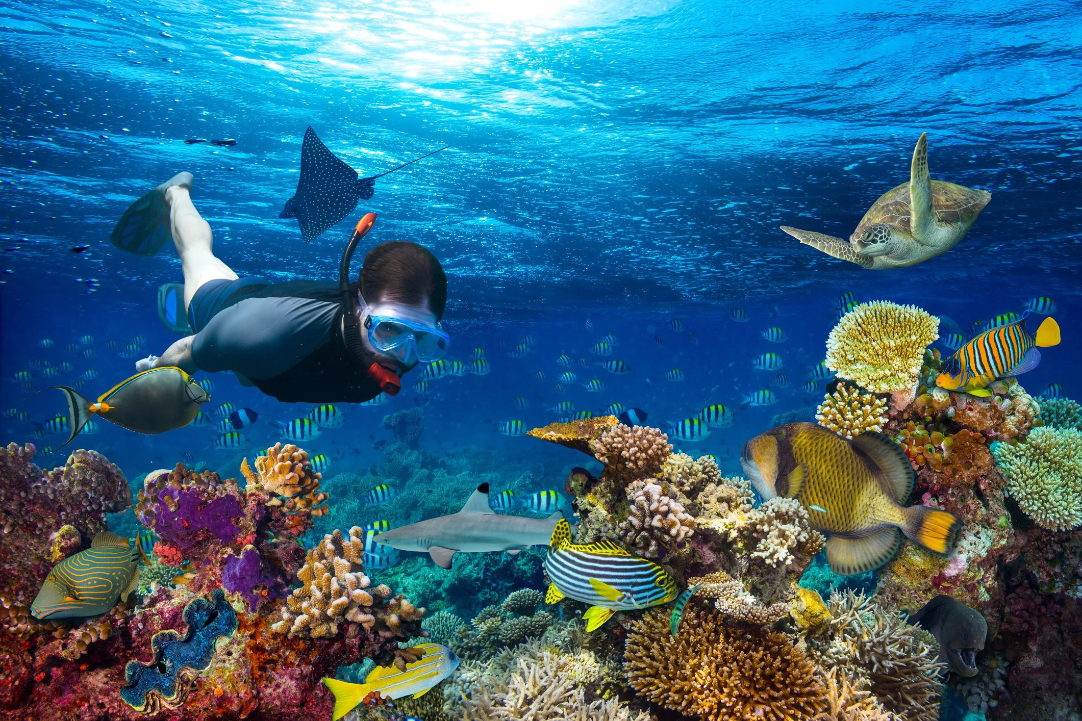 Turks & Caicos, Snorkling-iStock-647358754.jpg