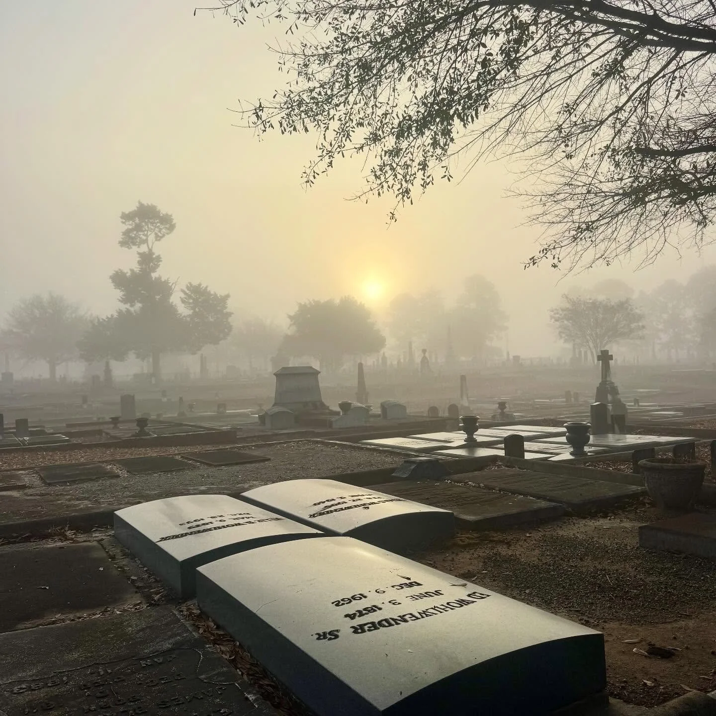 Throwback to a foggy morning so dramatic we half expected Mr. Darcy to appear!

Explore Linwood. Free to the public, donations accepted. Open MON-FRI from 7am-7pm. #LinwoodCemetery #ColumbusGa #Cemetery