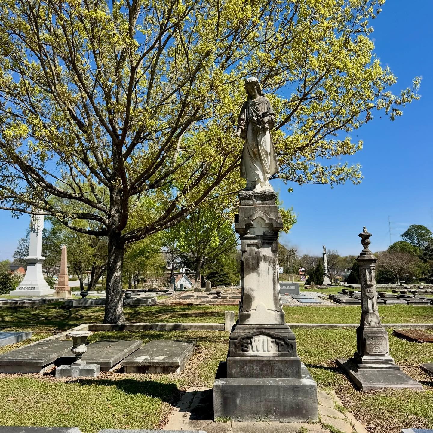 Spring is beginning to show itself at Linwood. As the seasons change, the stories here remain, rooted in history, renewed each year.

Have you visited lately?

Explore Linwood. Free to the public, donations accepted. Open MON-FRI from 7am-7pm. #Linwo