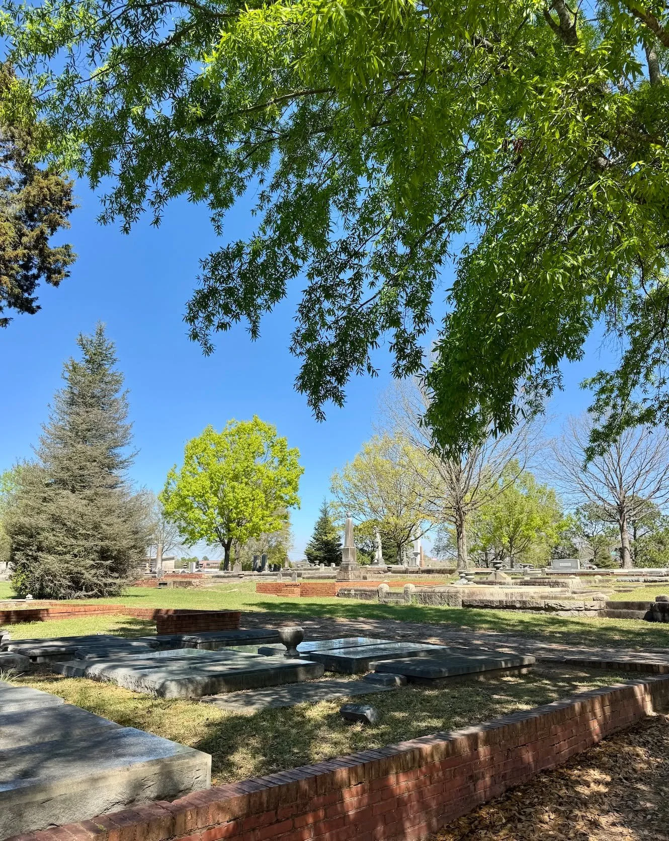 Happy First Day of Spring from Linwood 🌿 There&rsquo;s something special about life returning to a cemetery in spring. Everything starts turning green again, the air feels fresh, and you can hear the birds all around.

Come experience it for yoursel