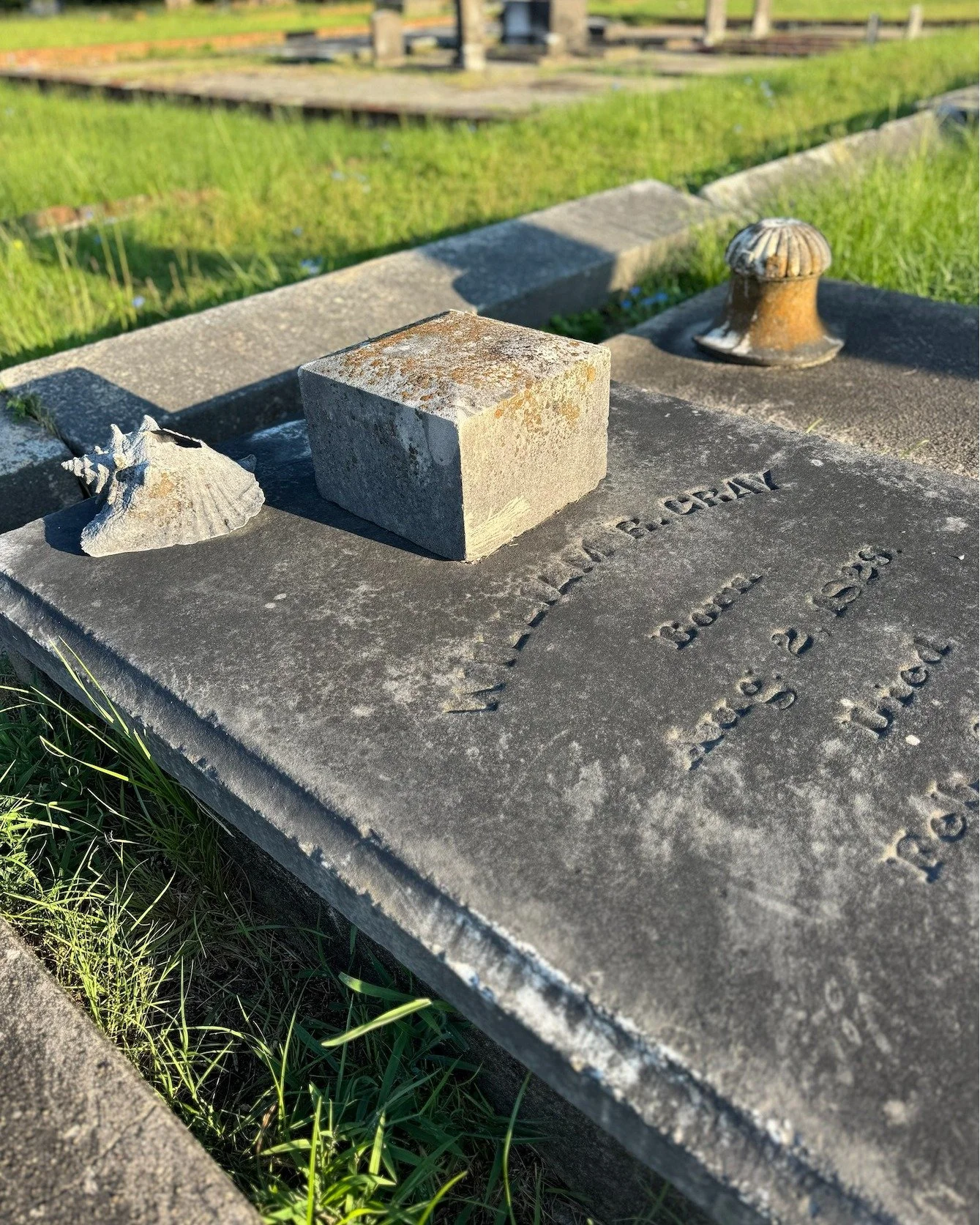 What&rsquo;s your favorite thing to discover while exploring Linwood Cemetery? Historic monuments? Family names? Architecture? Hidden details?

No two visits are ever quite the same. We&rsquo;d love to see your favorite discoveries along the way. Sha