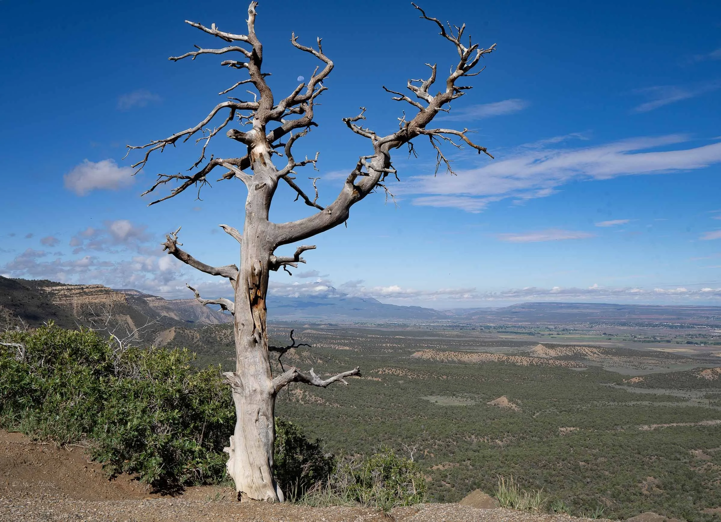 Mesa Verda Colorado Web Version.jpg