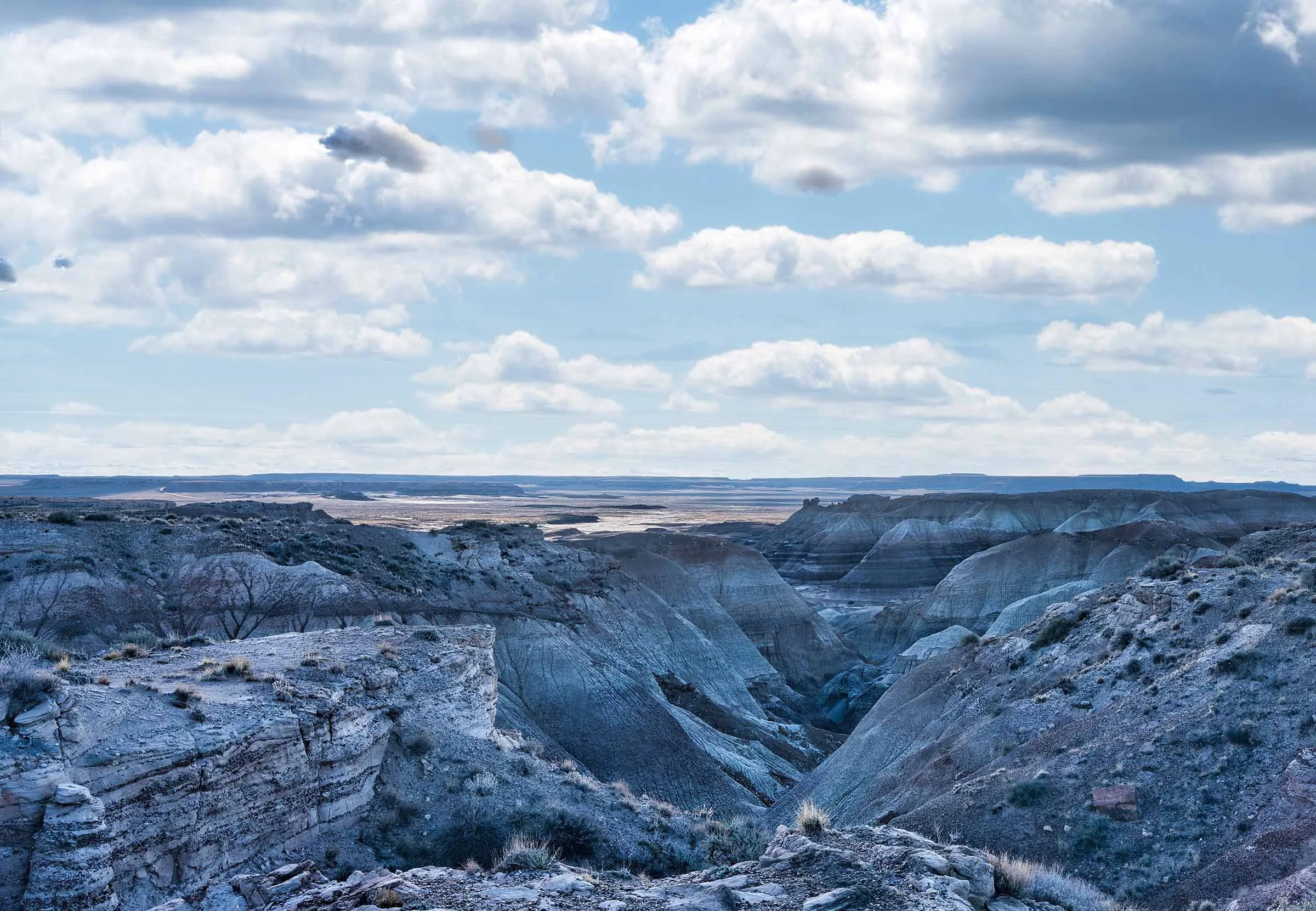 Painted Desert Canyon to Plain Small.jpg