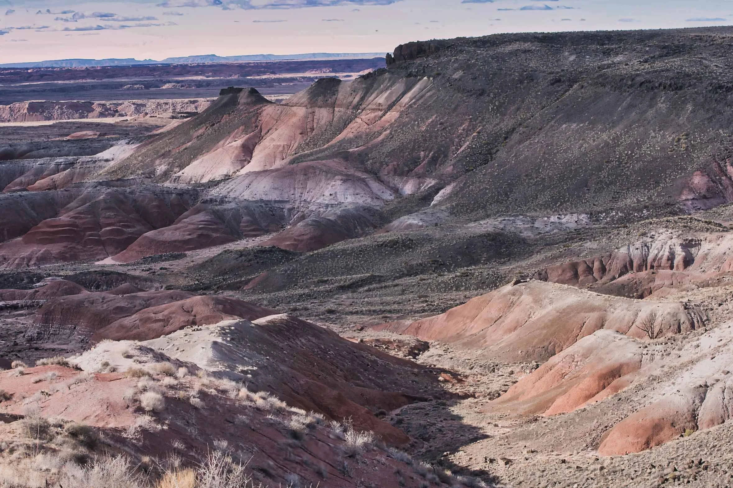 Painted Desert Twilight v1.jpg