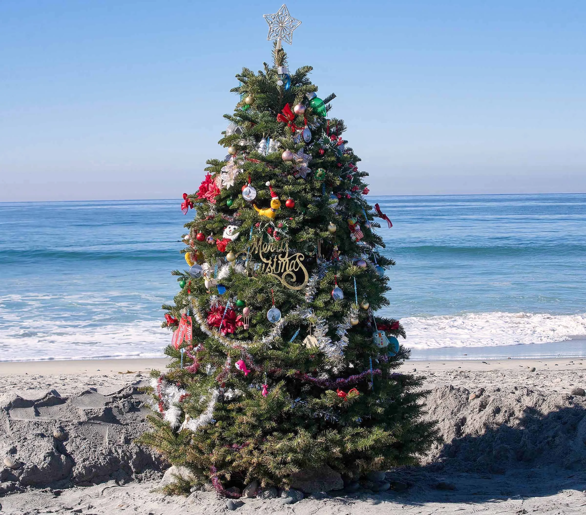 Christmas Tree on Beach Smaller.jpg