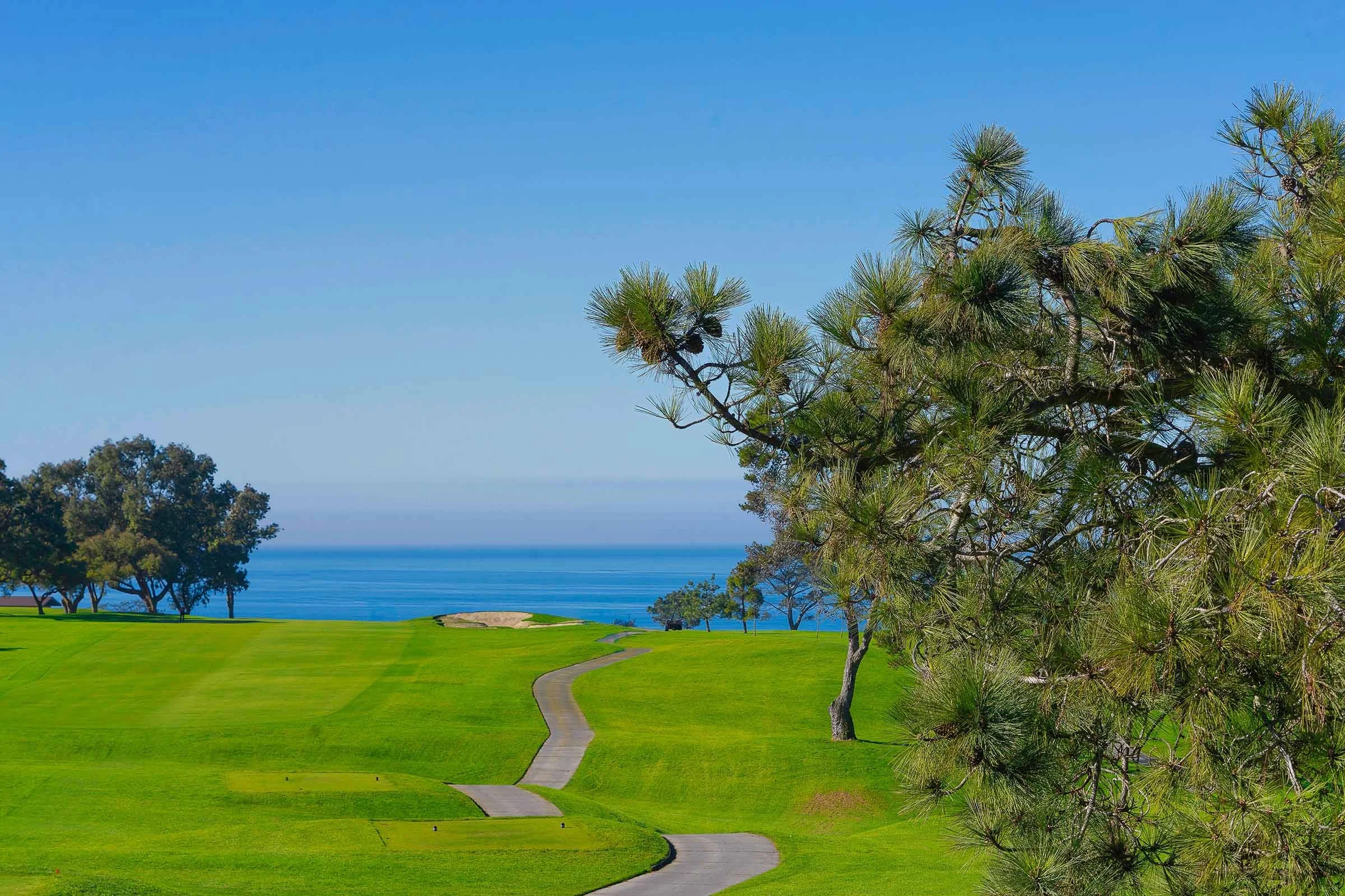 Torrey Pines 1st Tee South Course Smaller.jpg
