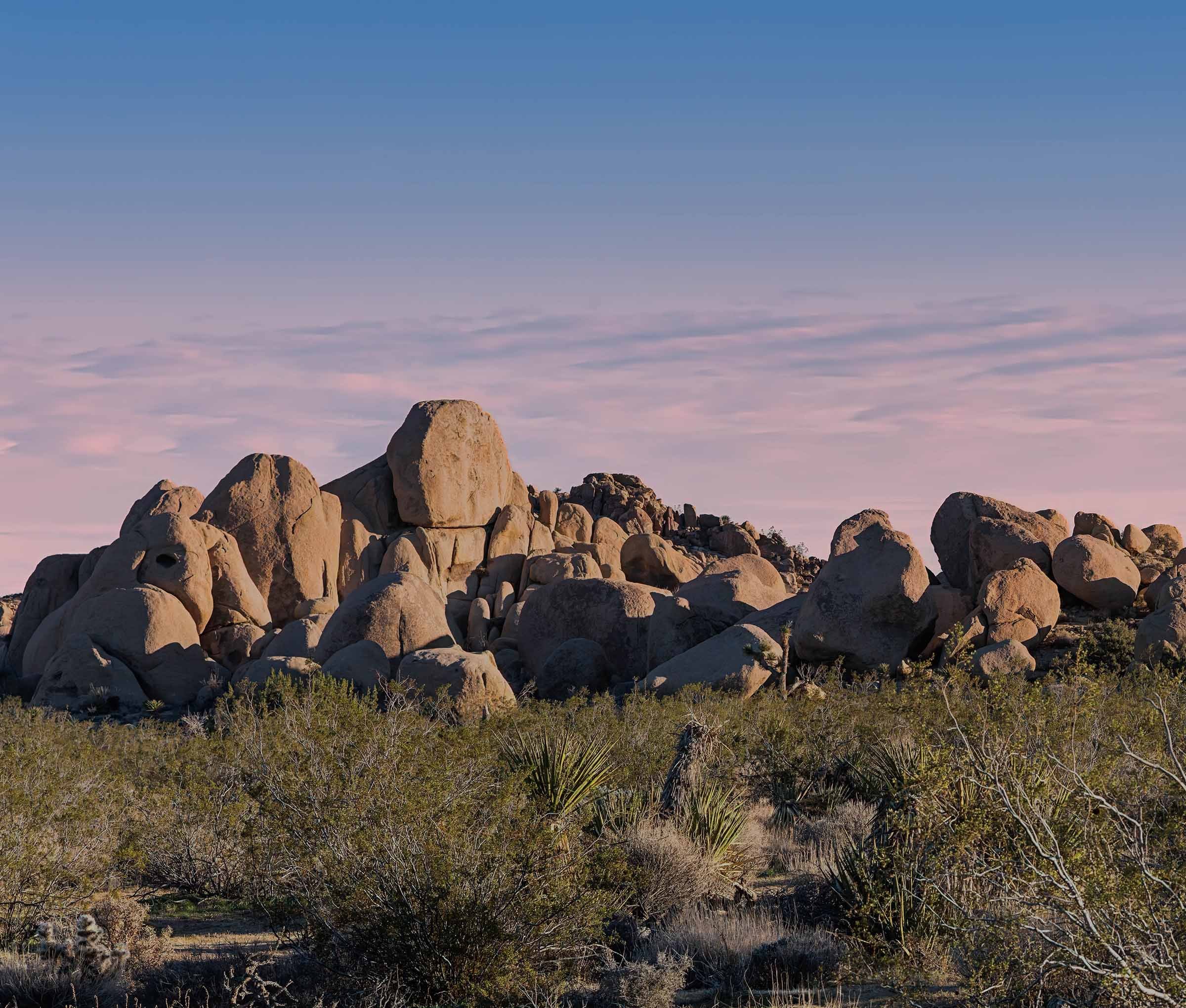 Evening In Joshua Tree NP-7 Smaller.jpg