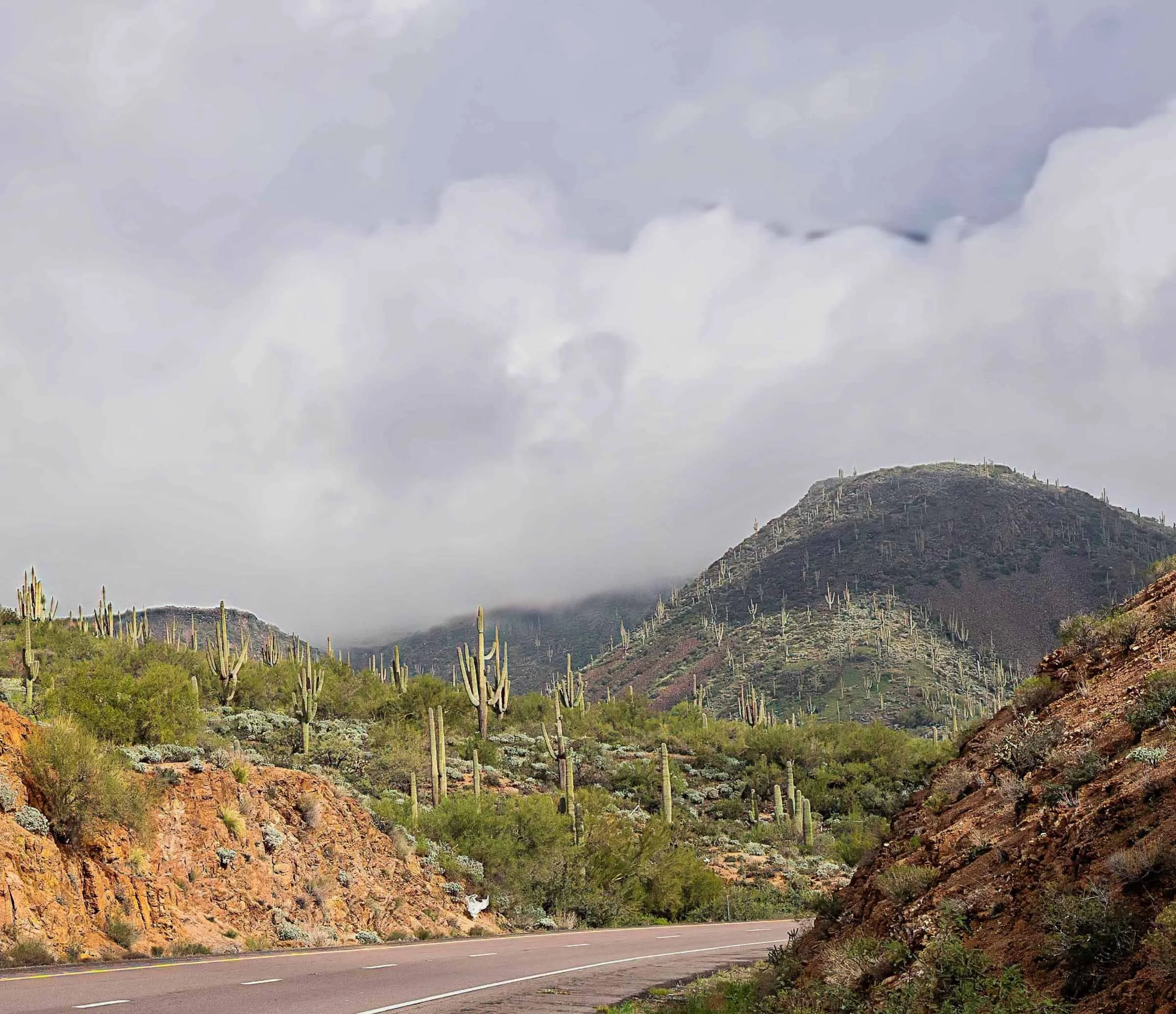 Beeline Highway-1v2.2 smaller.jpg