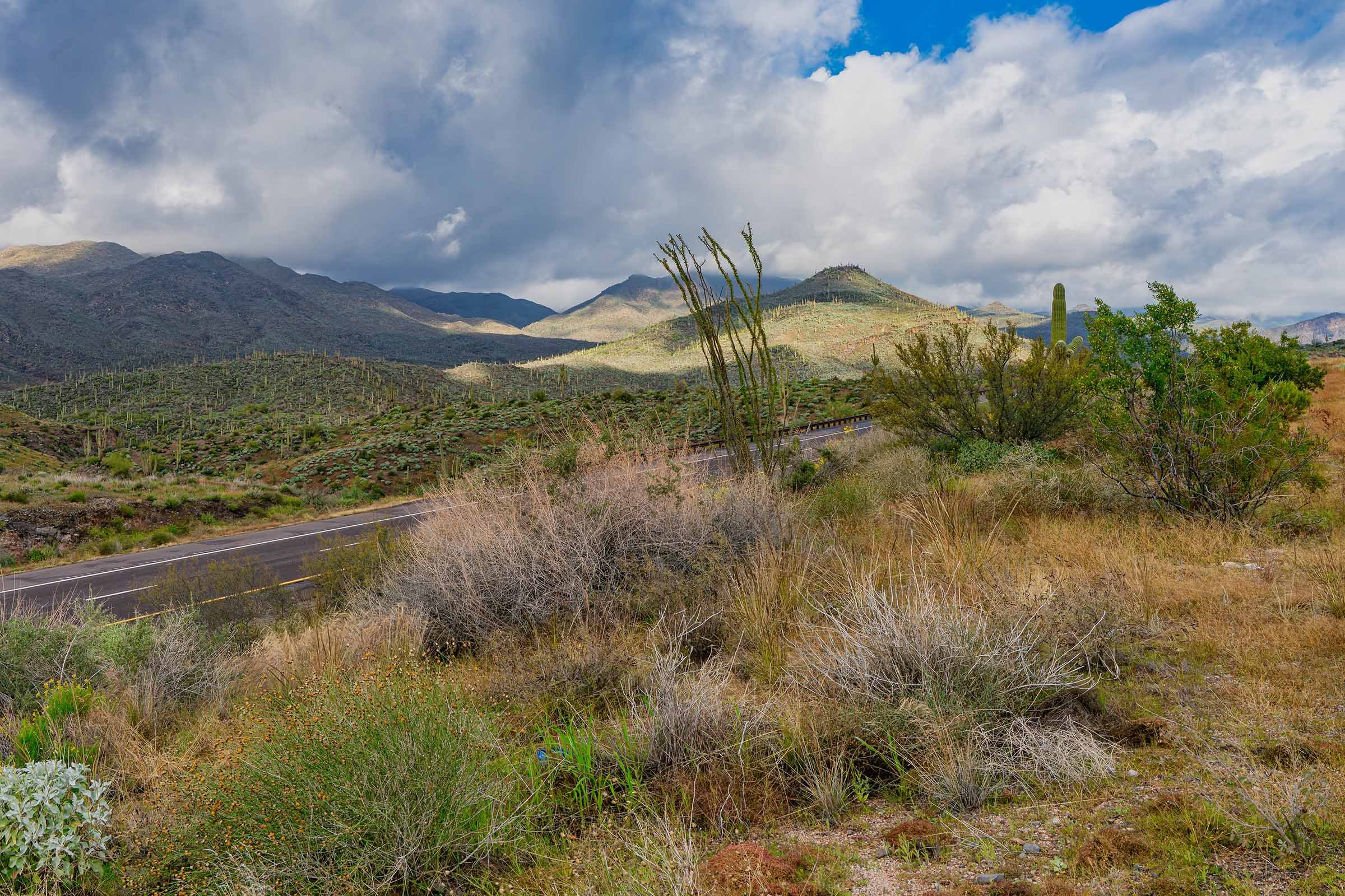 Bee Line Highway-3 smaller.jpg