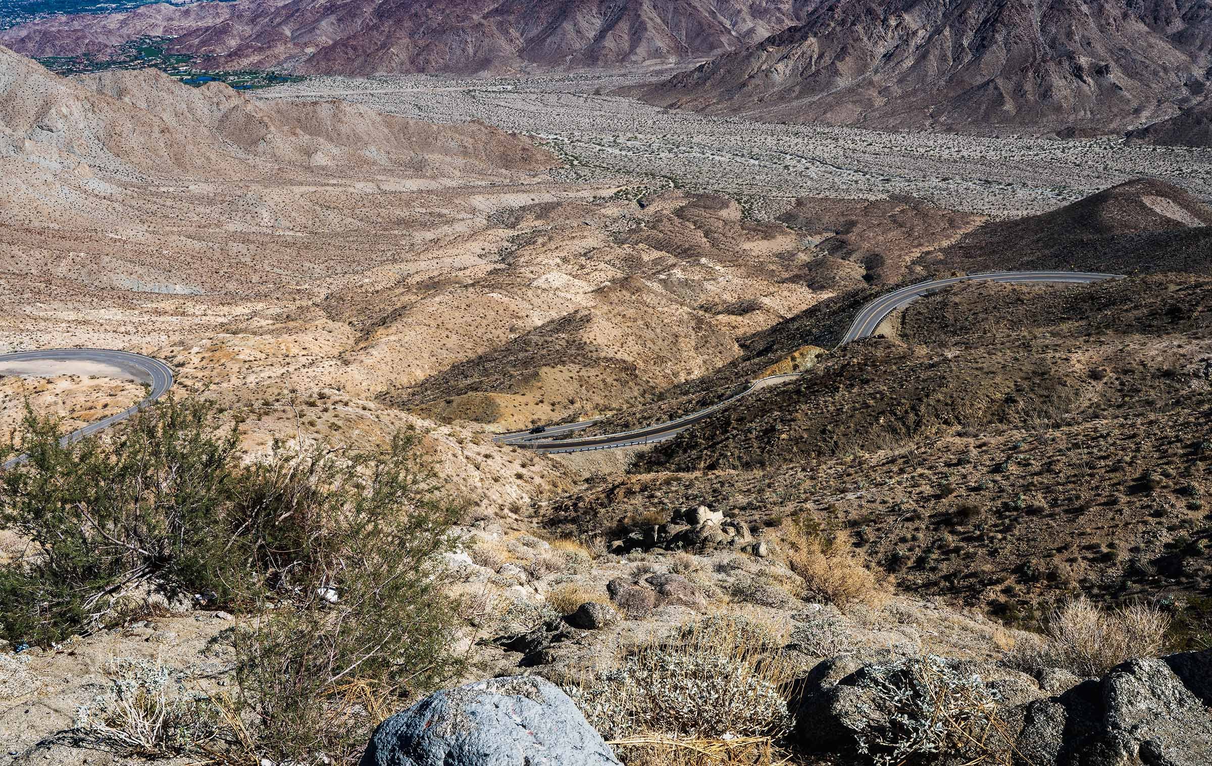 Palm Trees and Ponderosas: A Drive Through Two Worlds