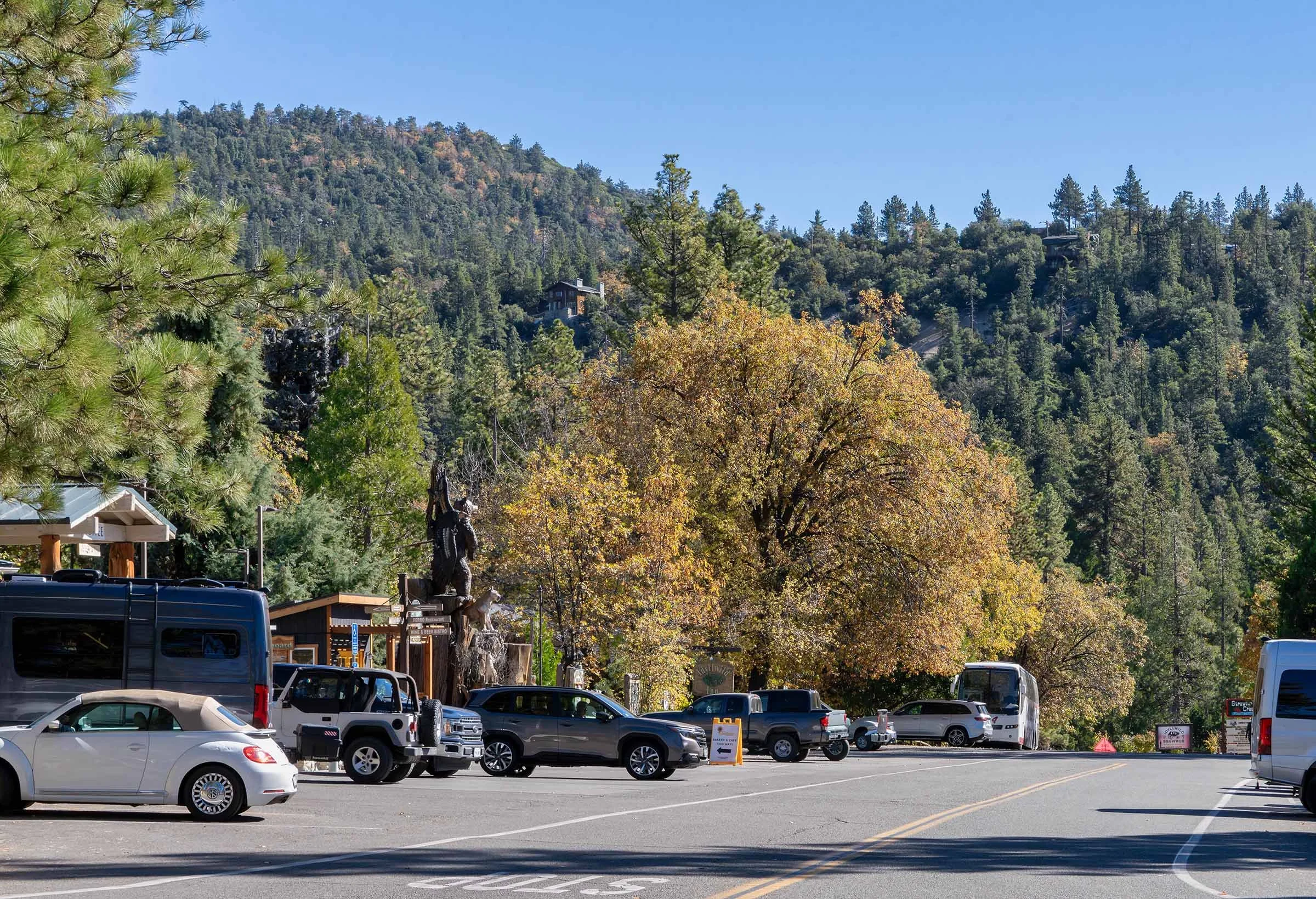 Idyllwild-2 smaller.jpg