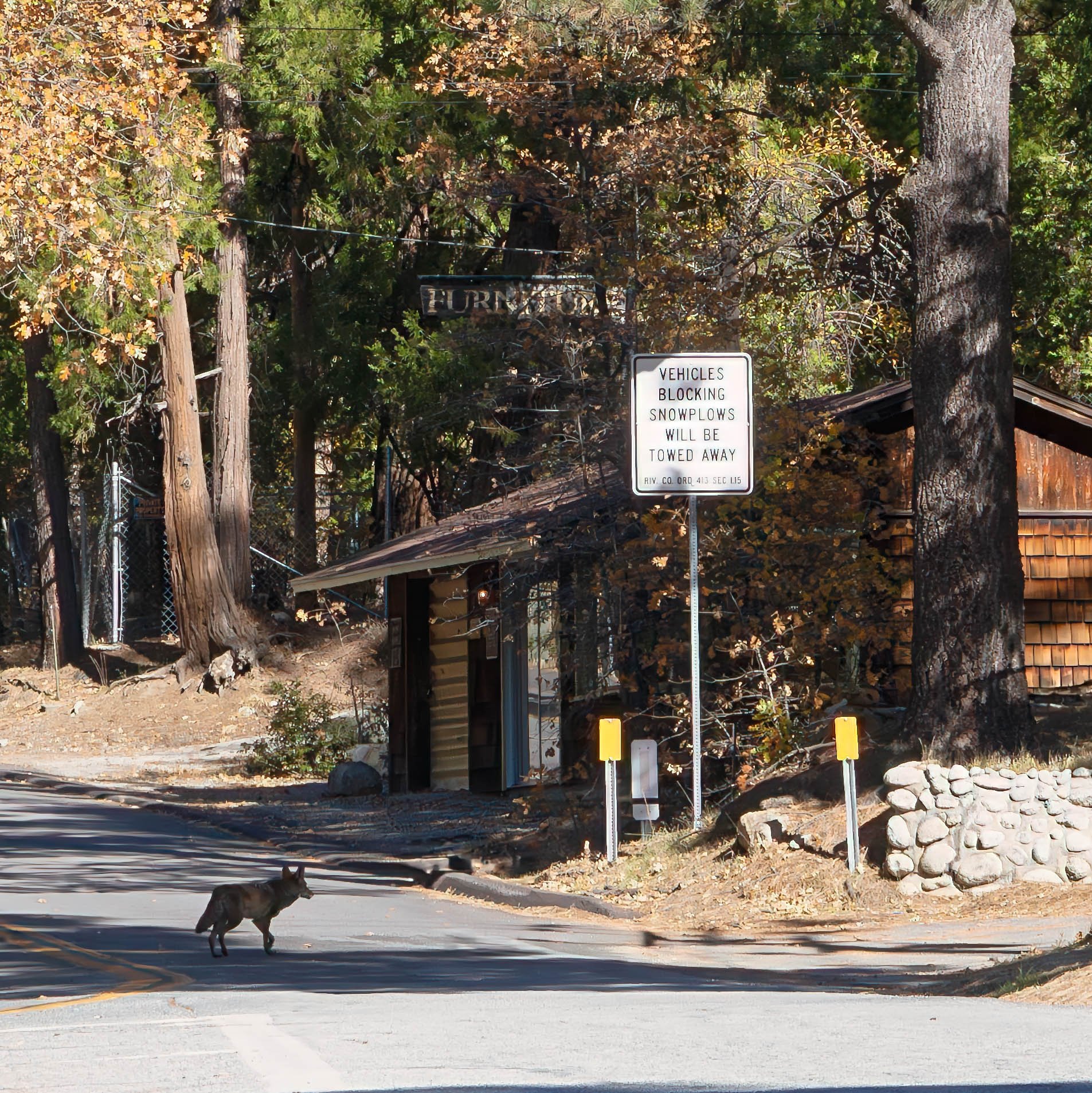 Idyllwild-3.jpg