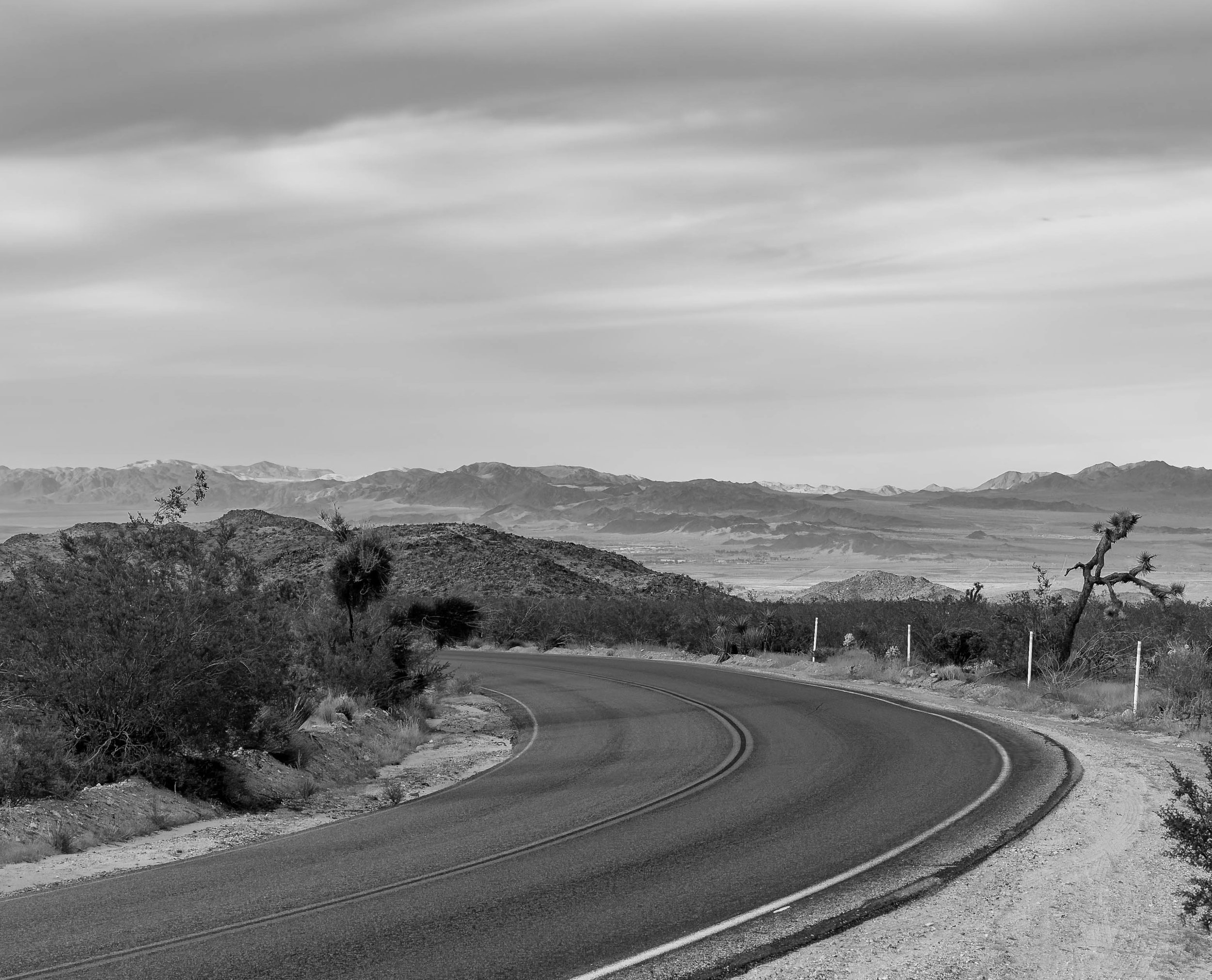 Joshua Tree in Black and White-8.jpg