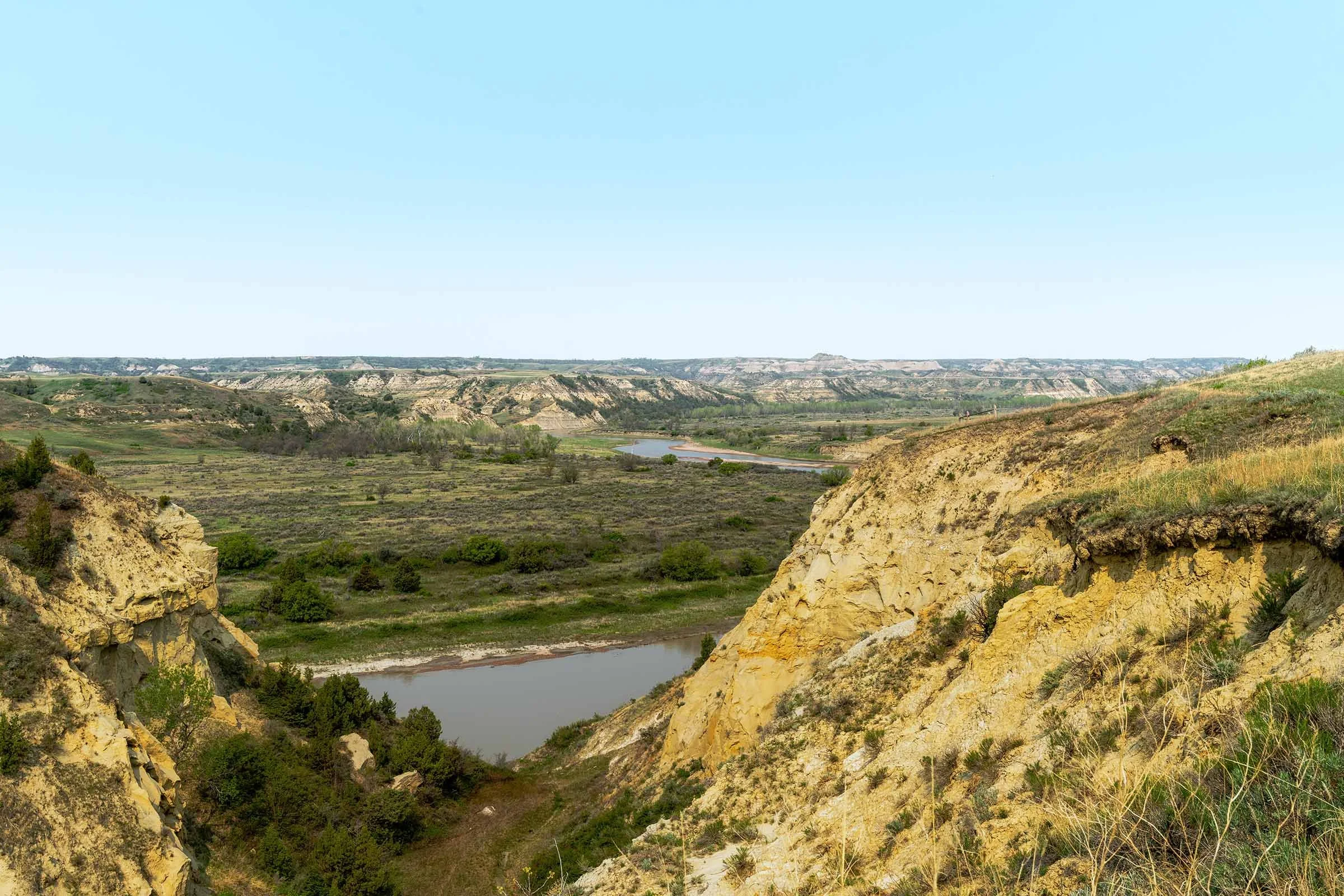 Teddy Roosevelt Reworked-3 smaller.jpg