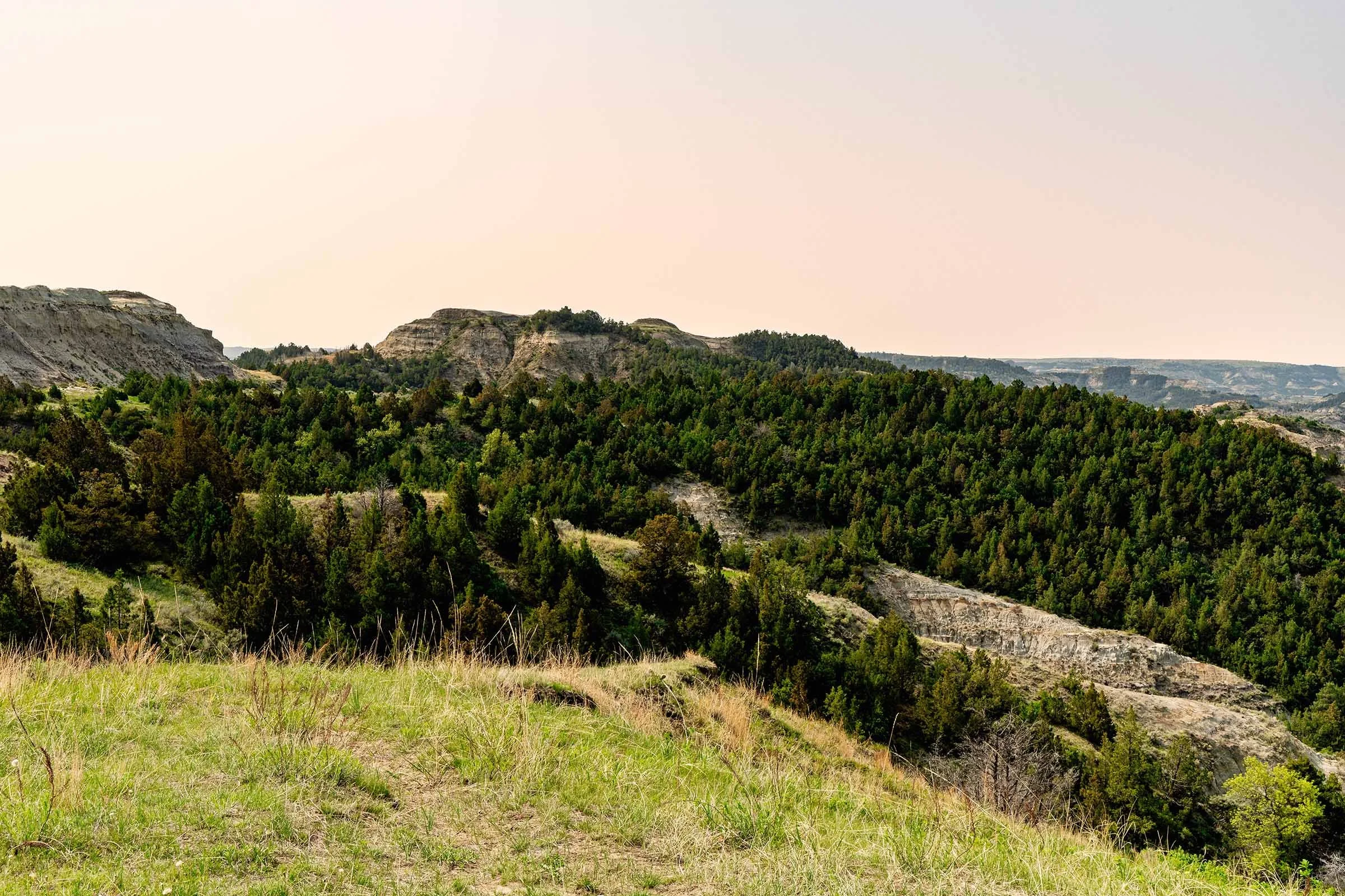 Teddy Roosevelt Reworked-8 smaller.jpg