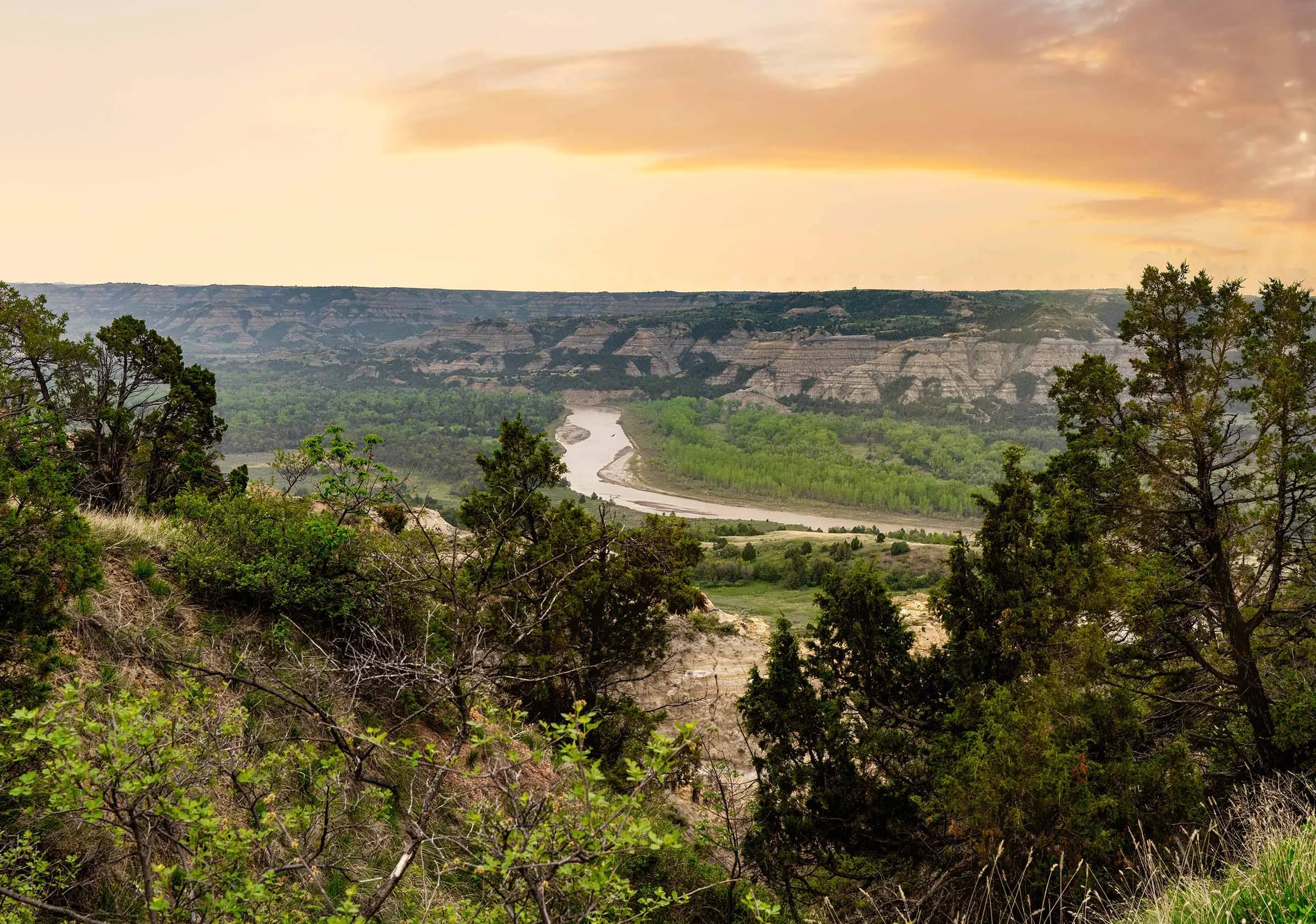 Teddy Roosevelt Reworked-20 smaller.jpg