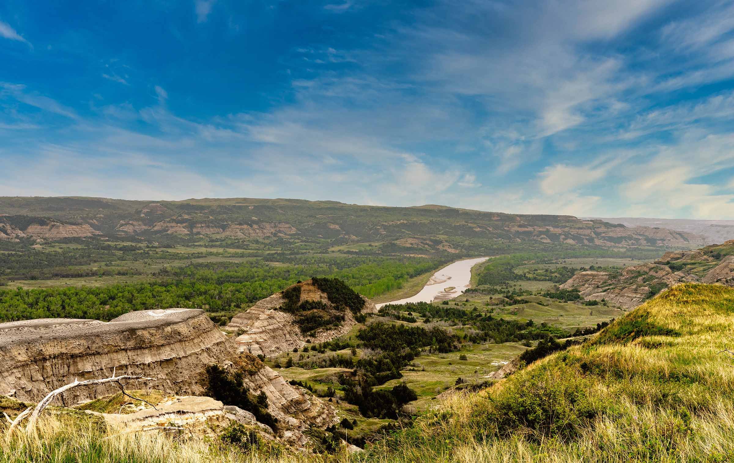 Teddy Roosevelt Reworked-21 smaller.jpg