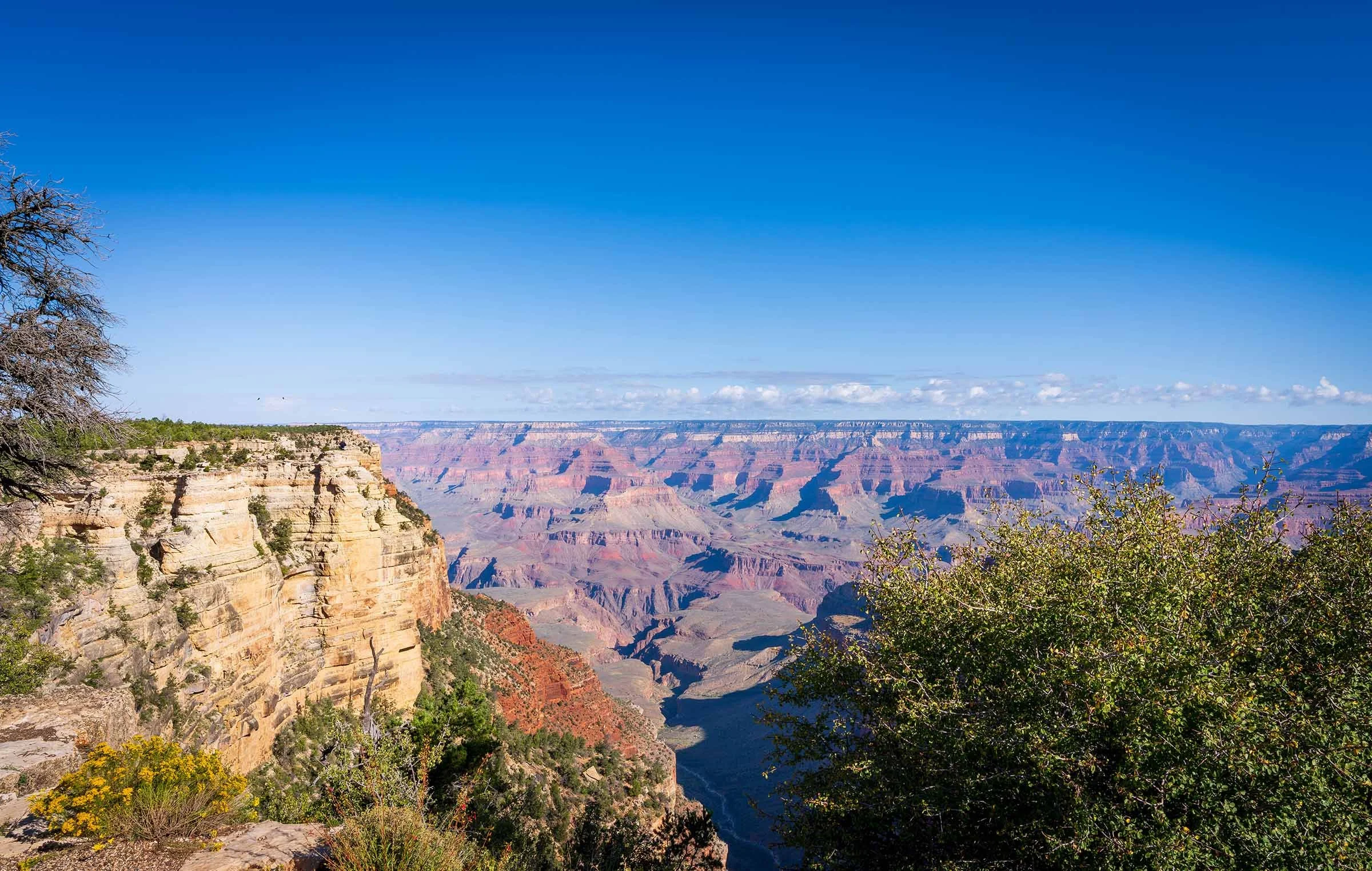 Grand Canyon Rework-4 smaller.jpg