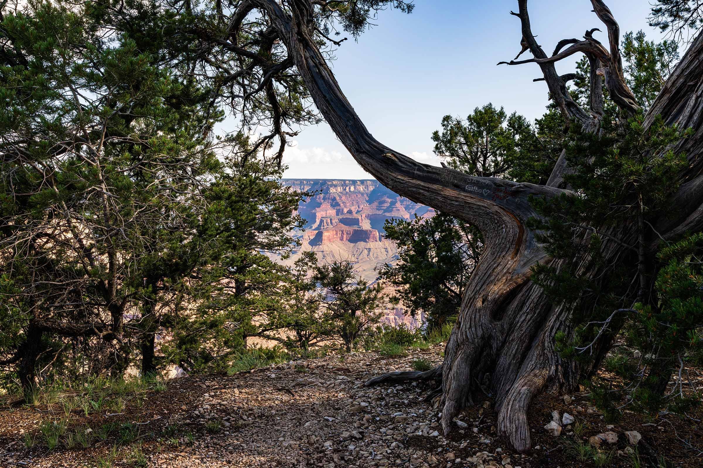 Grand Canyon Rework-5 smaller.jpg