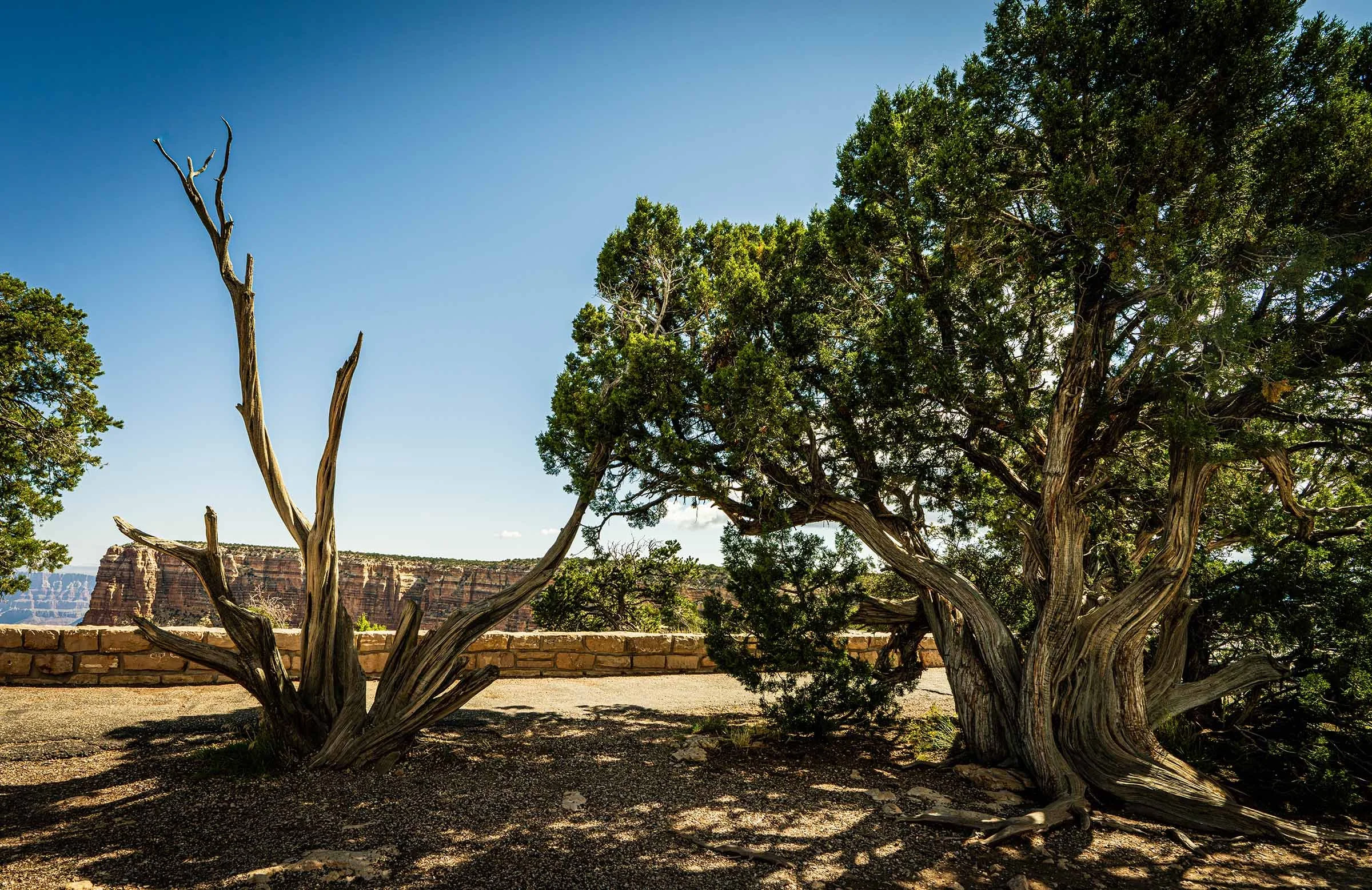 Grand Canyon Rework-8 smaller.jpg