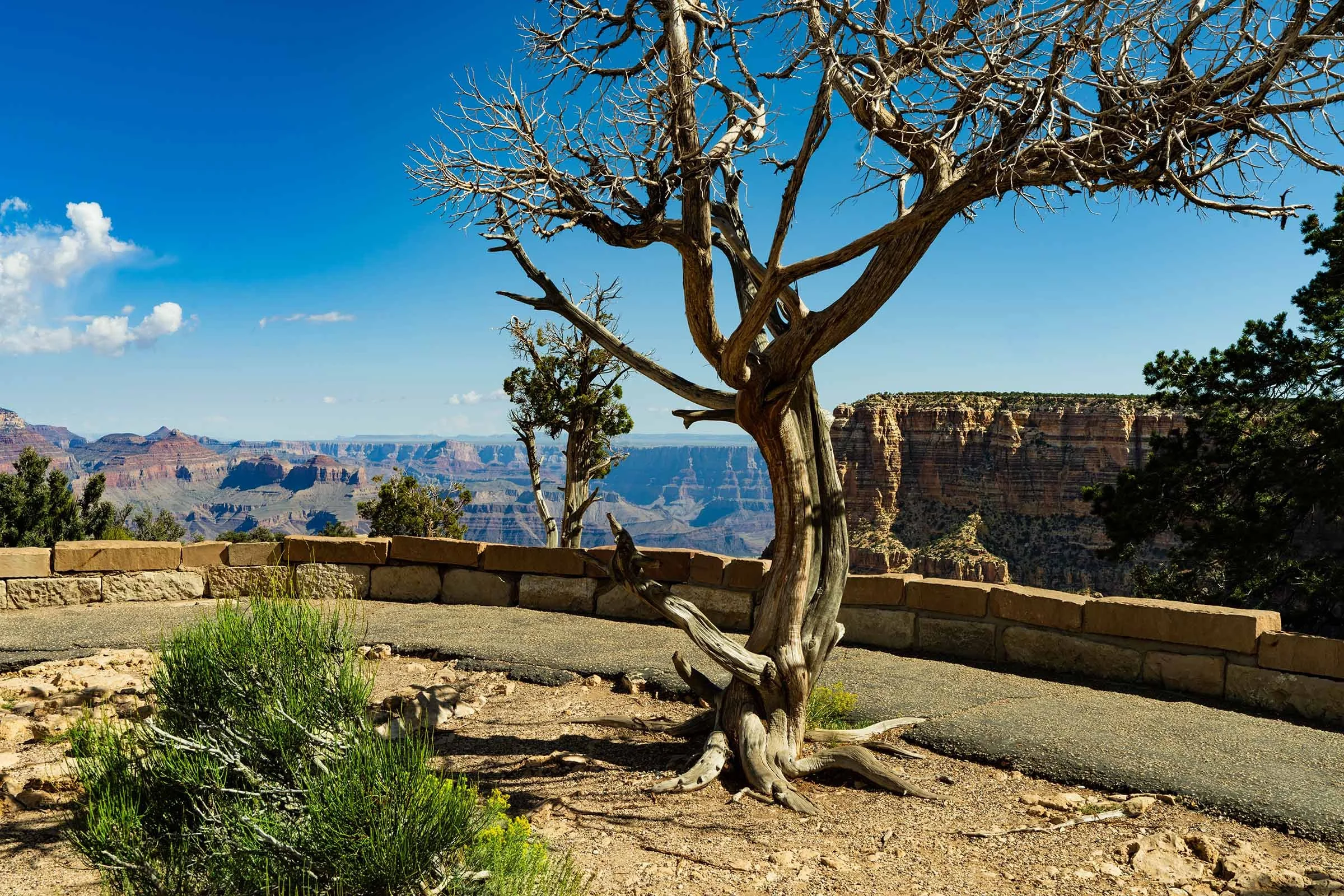 Grand Canyon Rework-9 smaller.jpg
