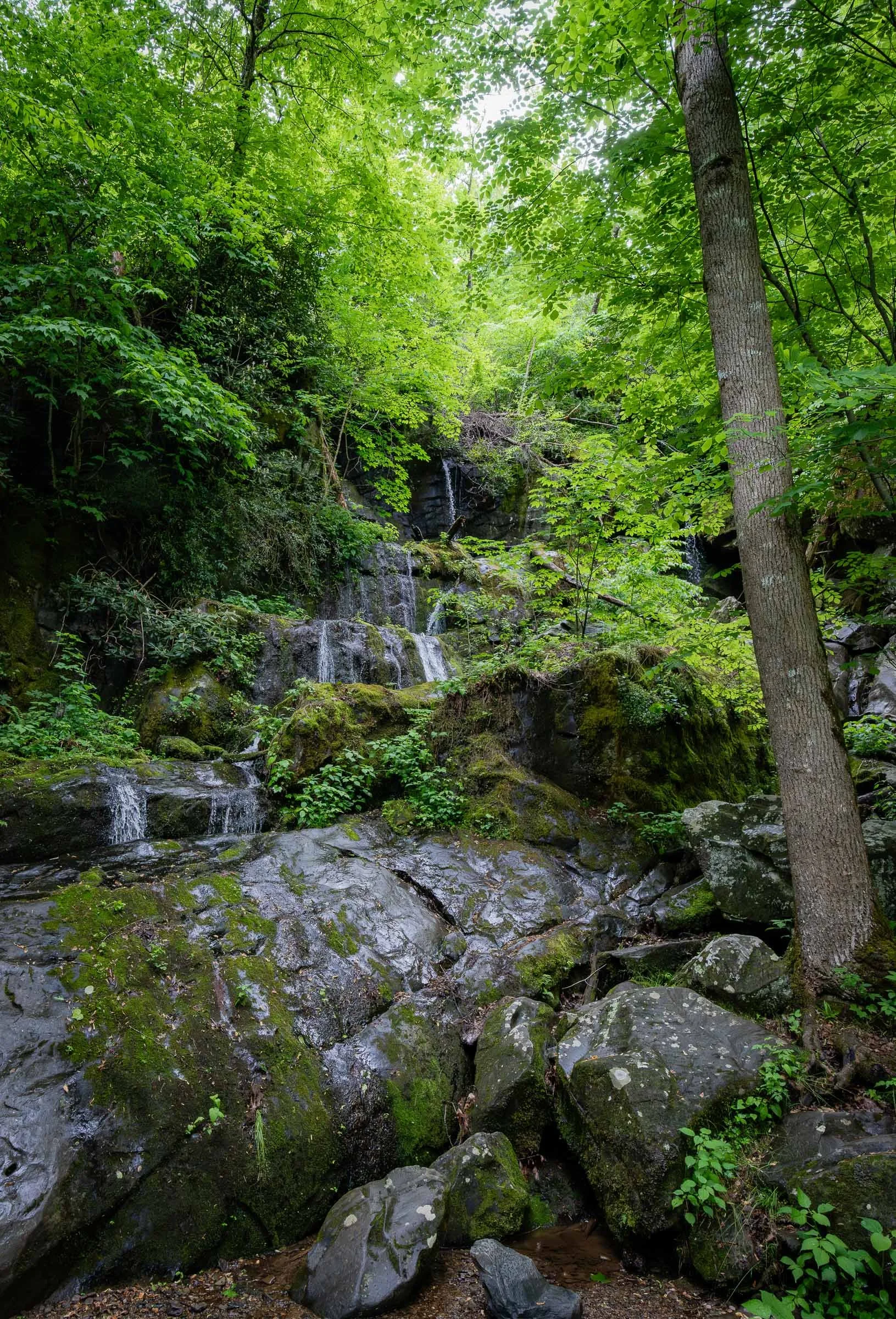 Smokey Mountain National Park-2.jpg