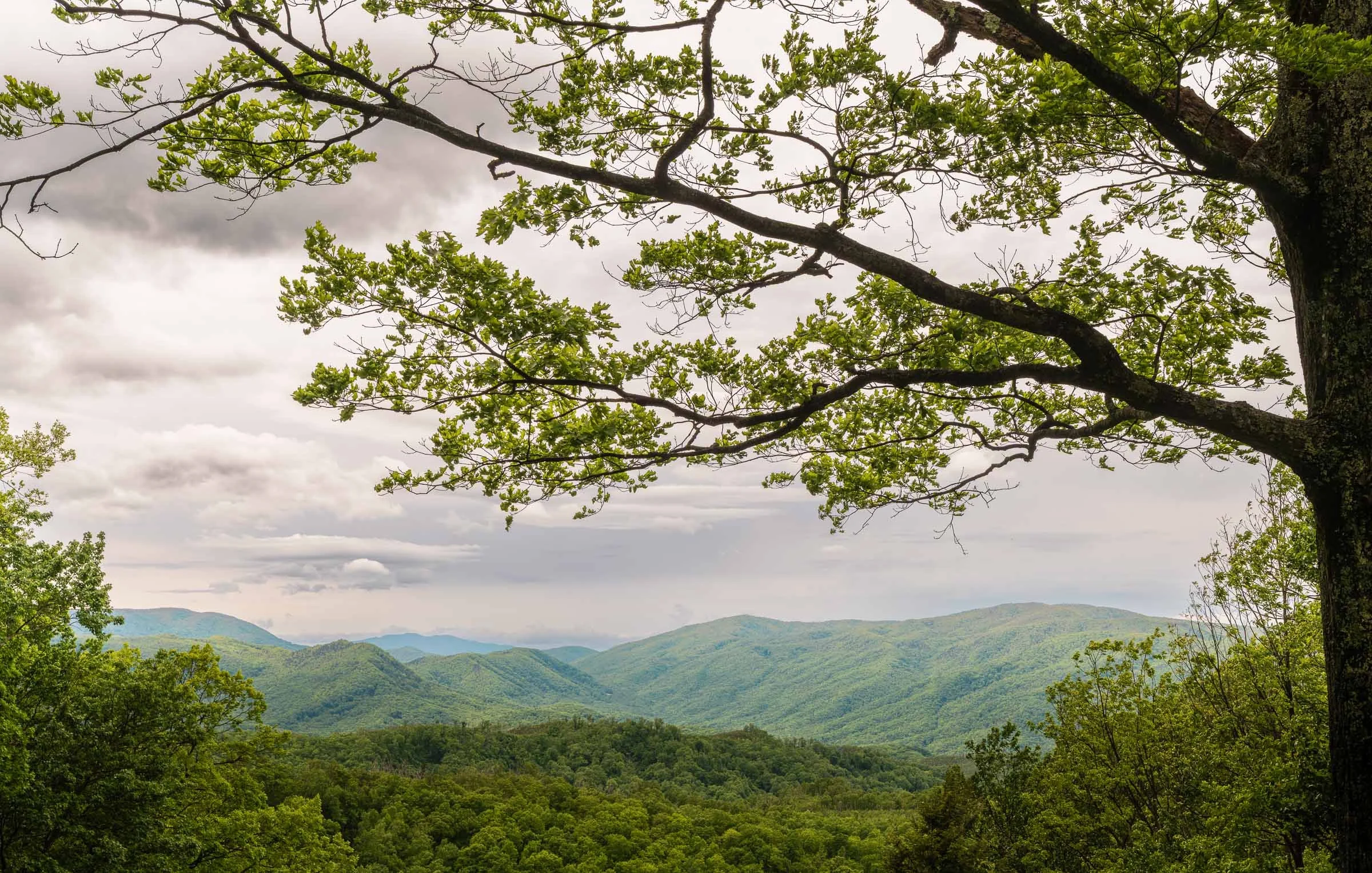 Smokey Mountain National Park-7.jpg
