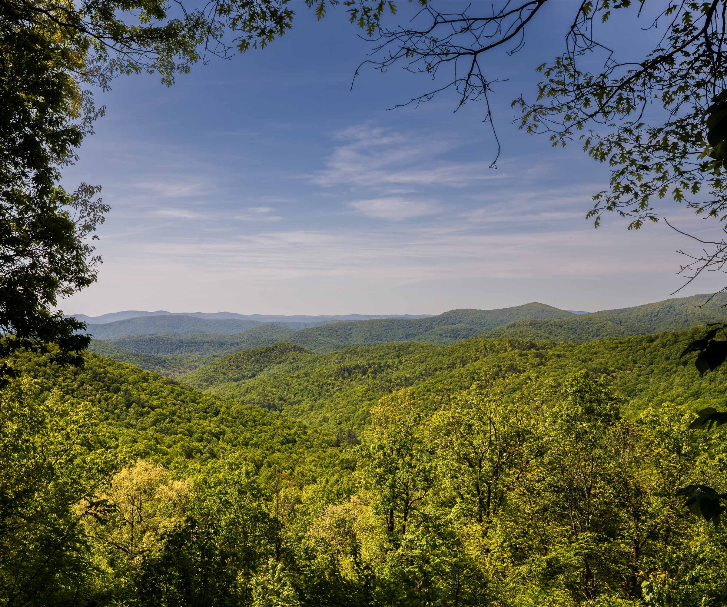 Blue Ridge Parkway-2.jpg
