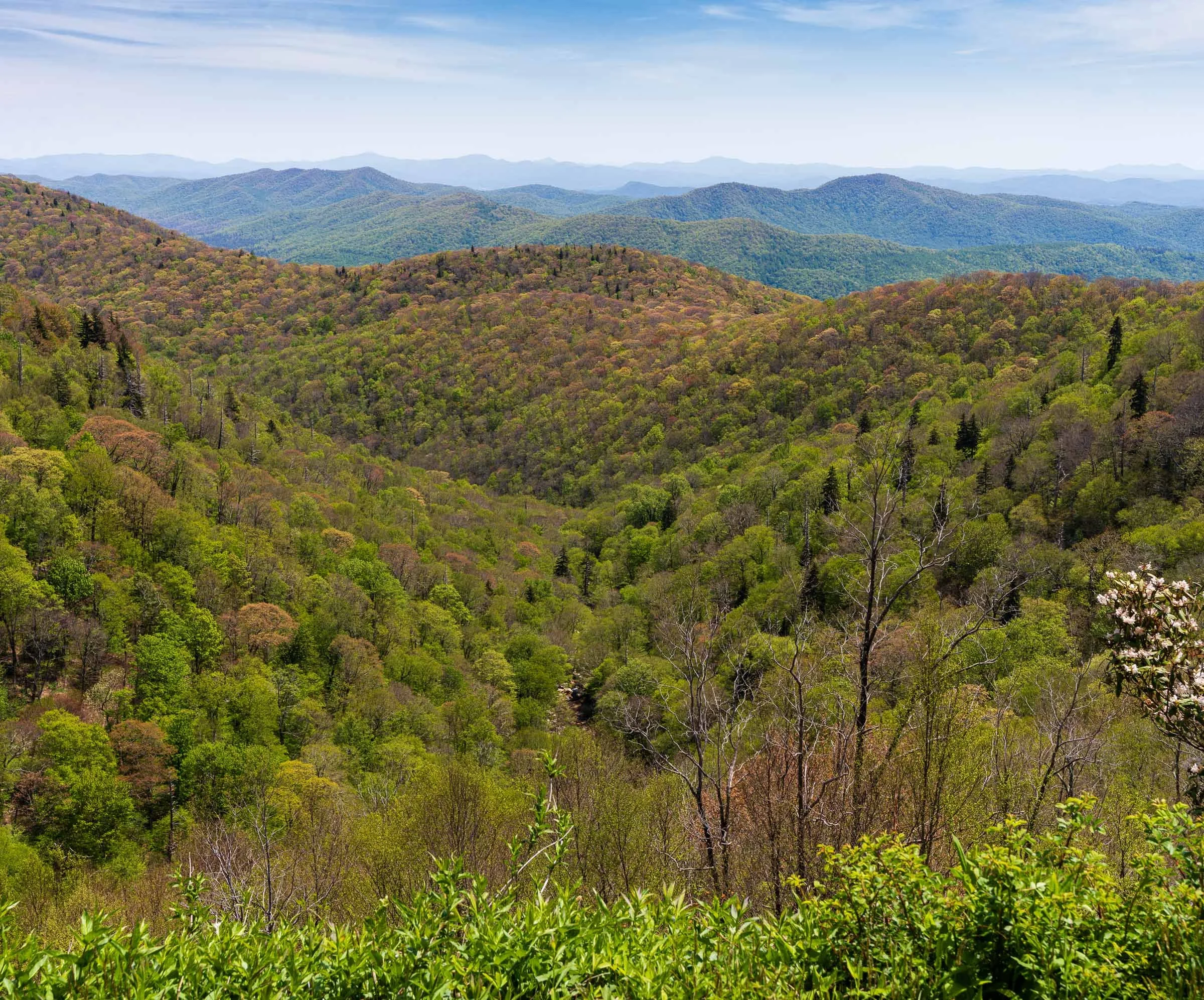 Blue Ridge Parkway-3.jpg