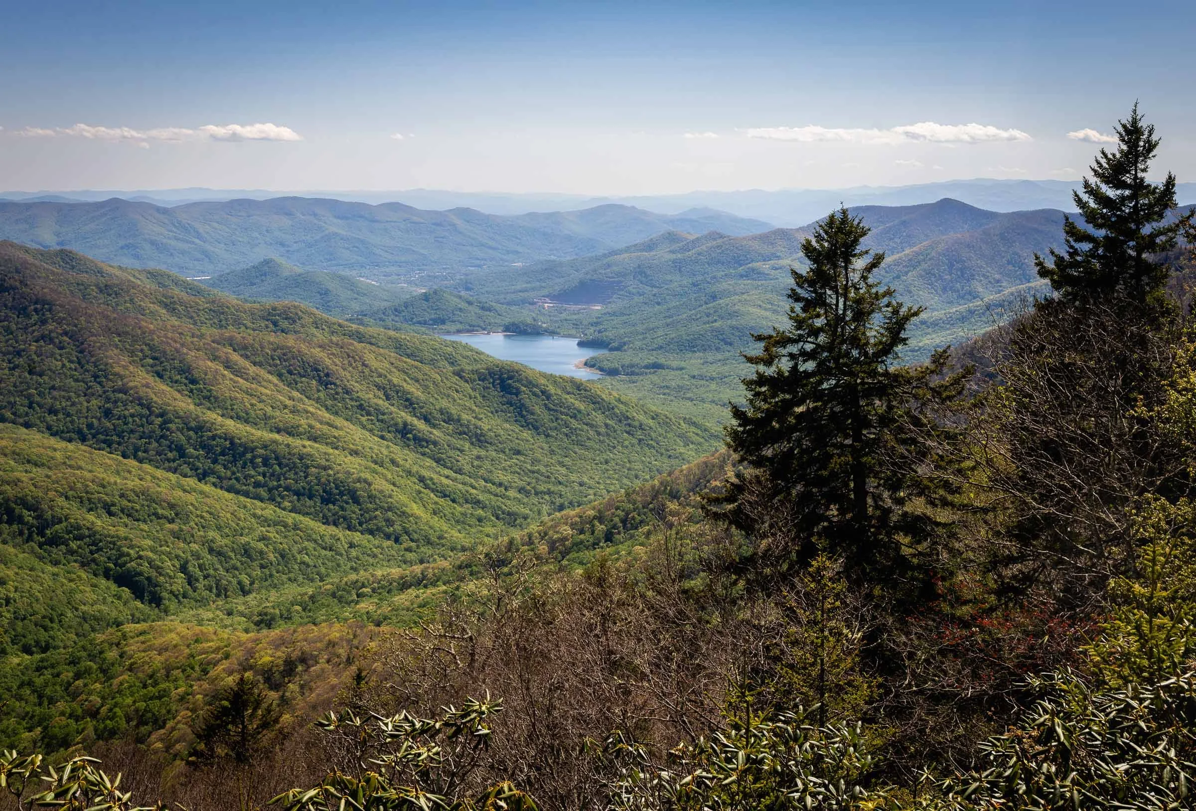 Blue Ridge Parkway-7.jpg