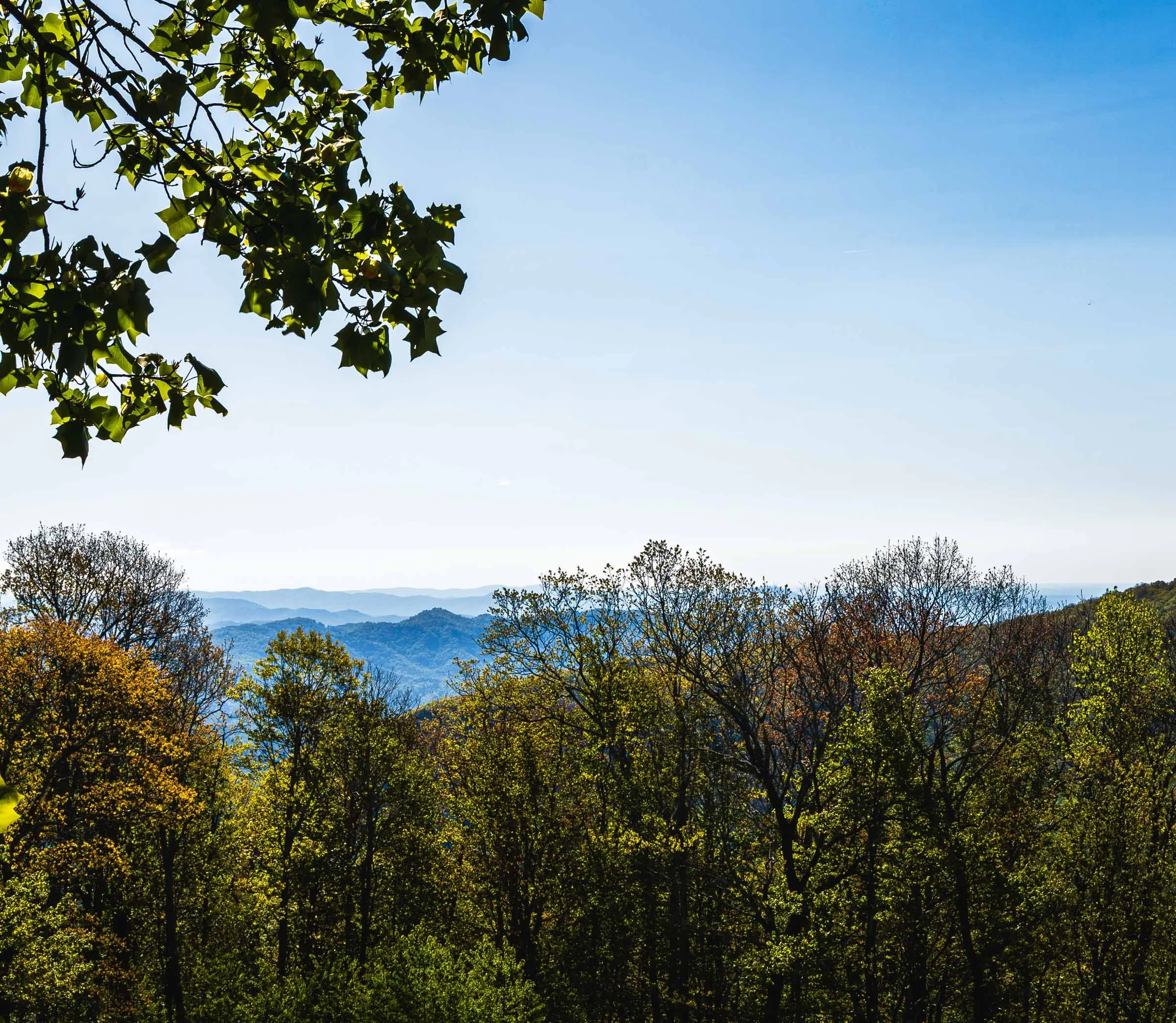 Blue Ridge Parkway-8.jpg