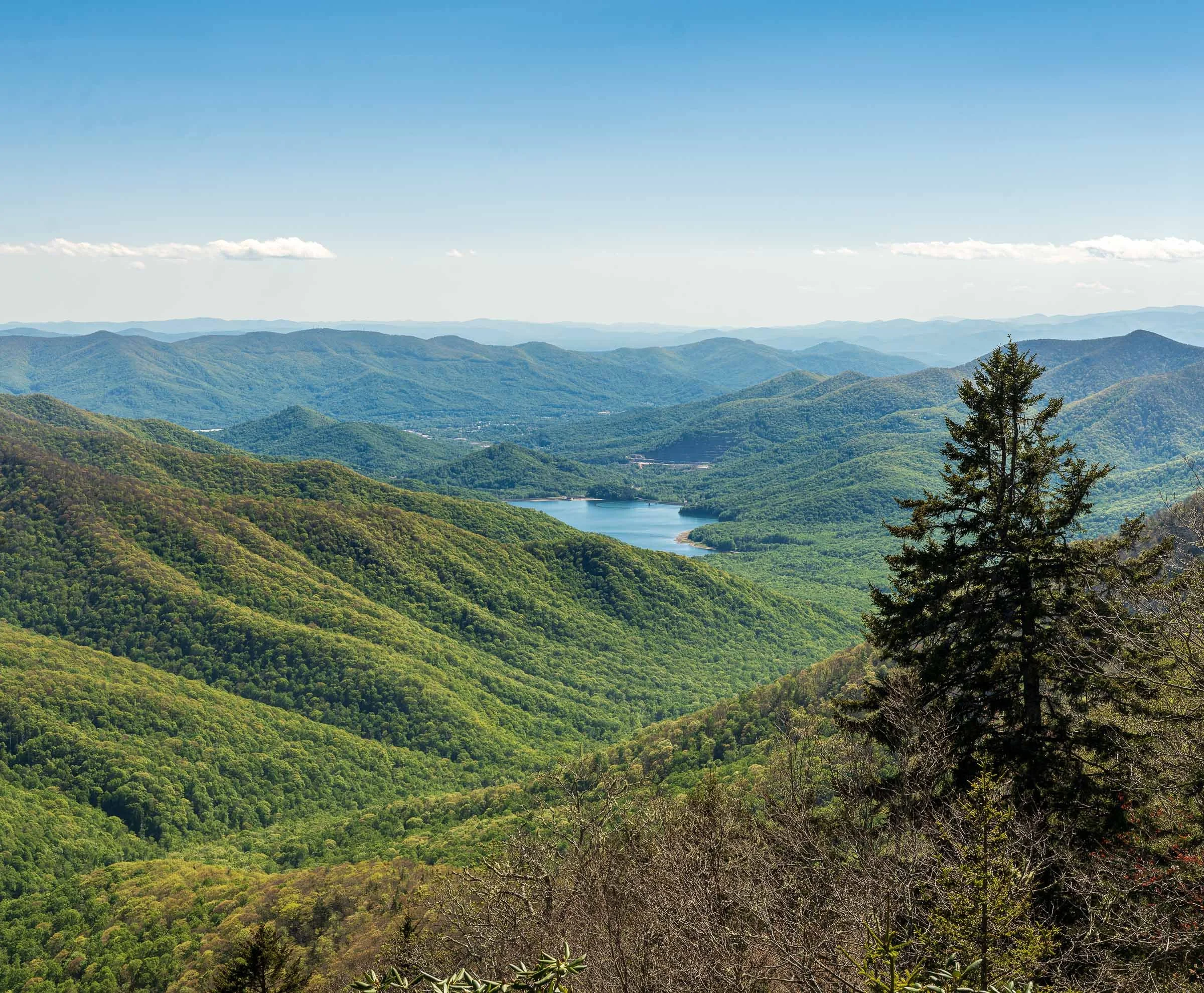 Blue Ridge Parkway-7 .jpg