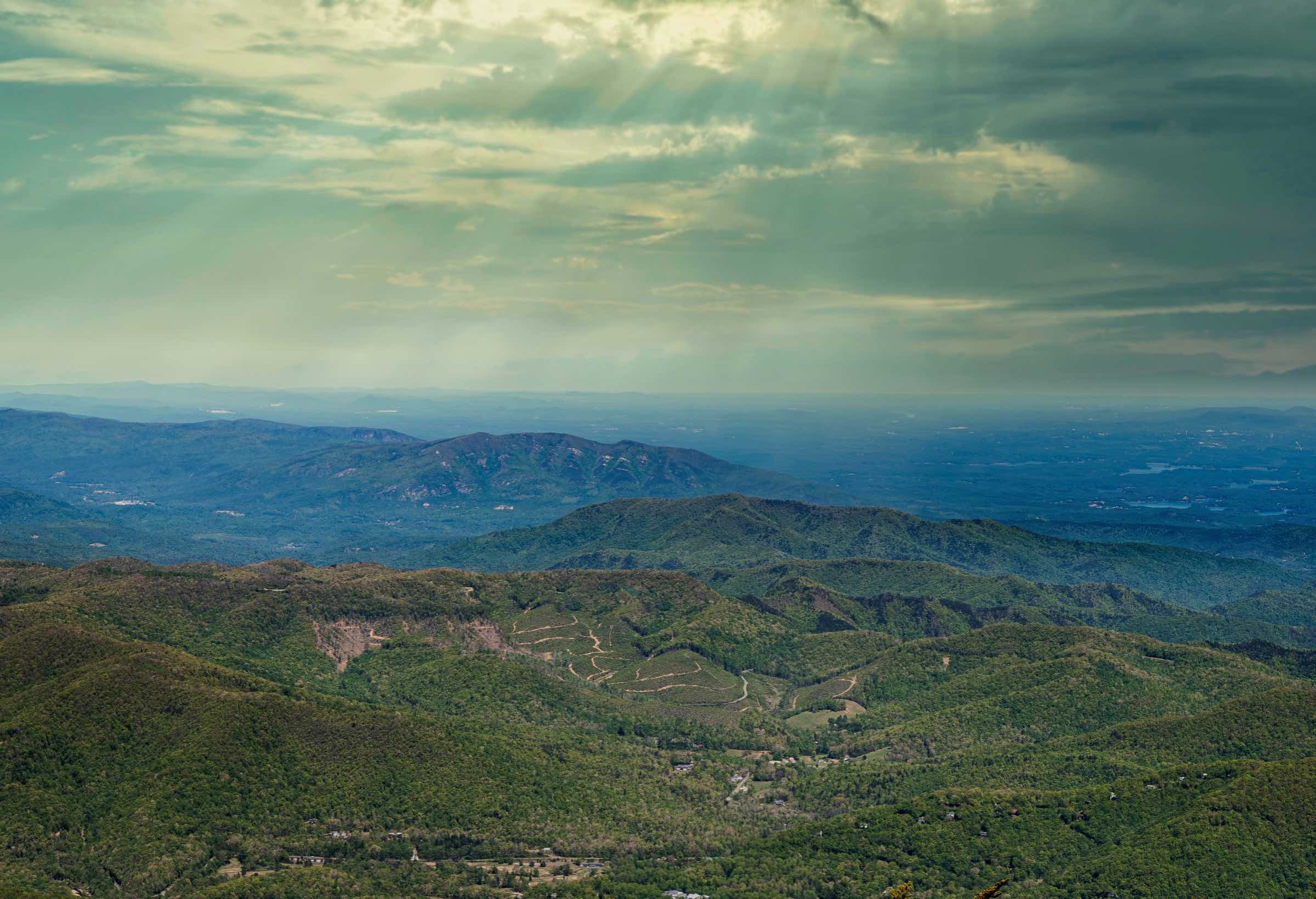 Mount Mitchell Working Web Version.jpeg