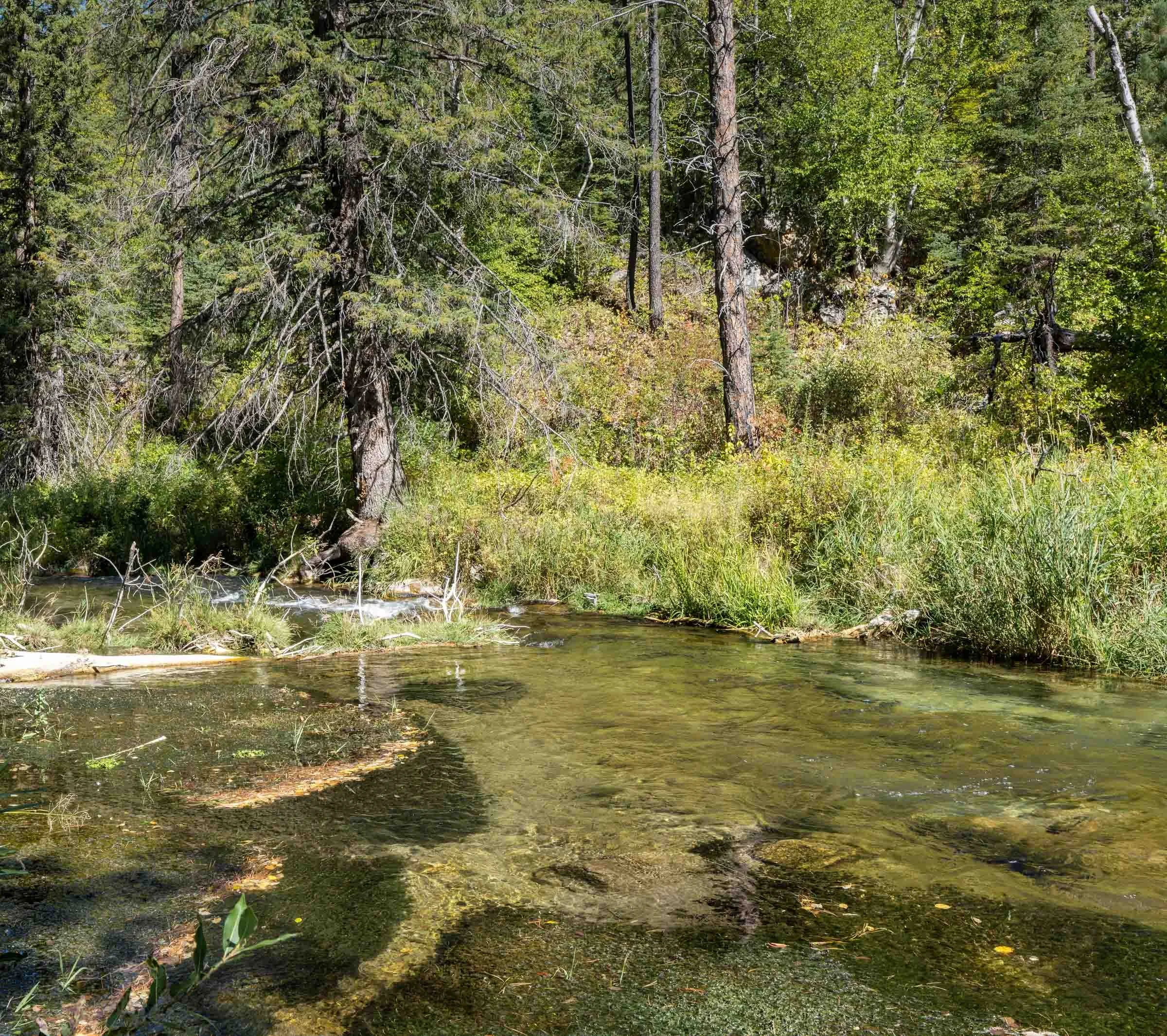 Spearfish Creek (Small).jpg