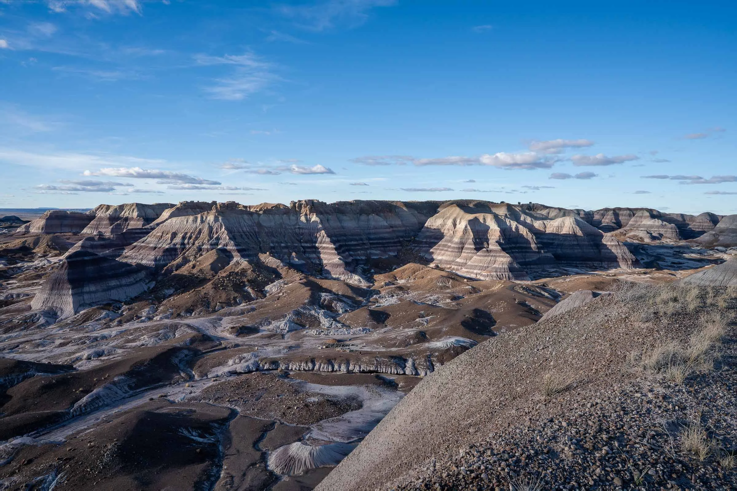 Blue Mesa Web Version.jpg